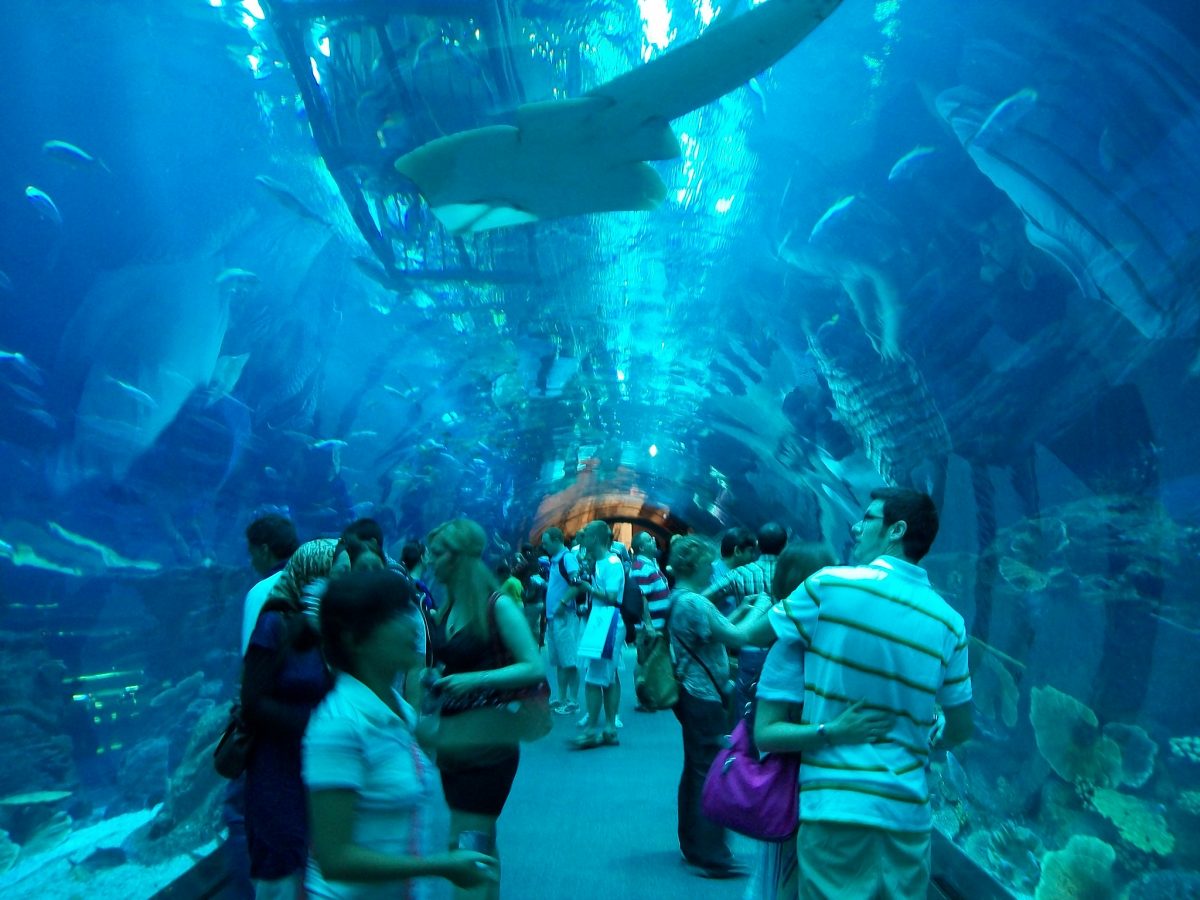 Dubai Aquarium