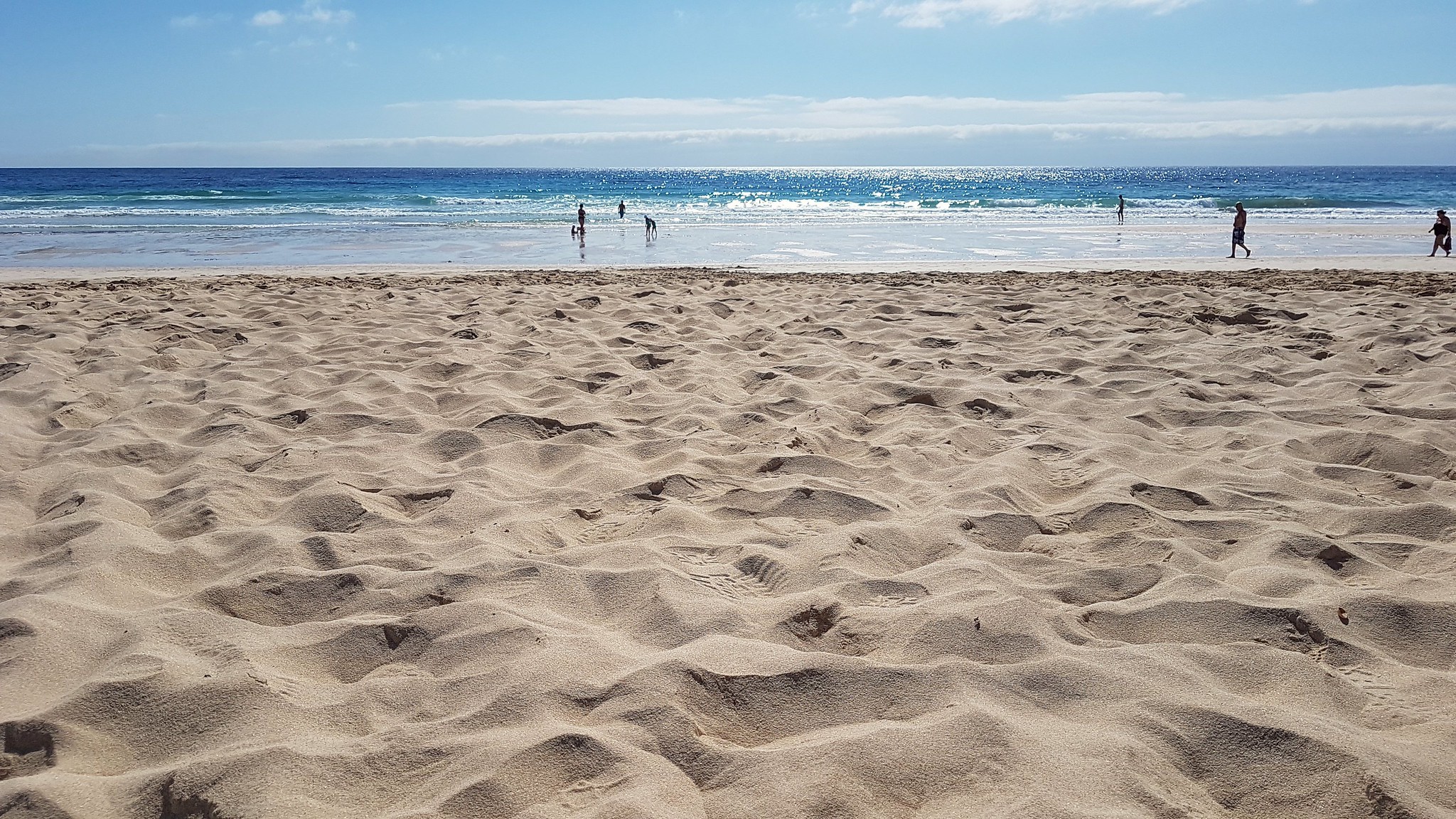 isole canarie
