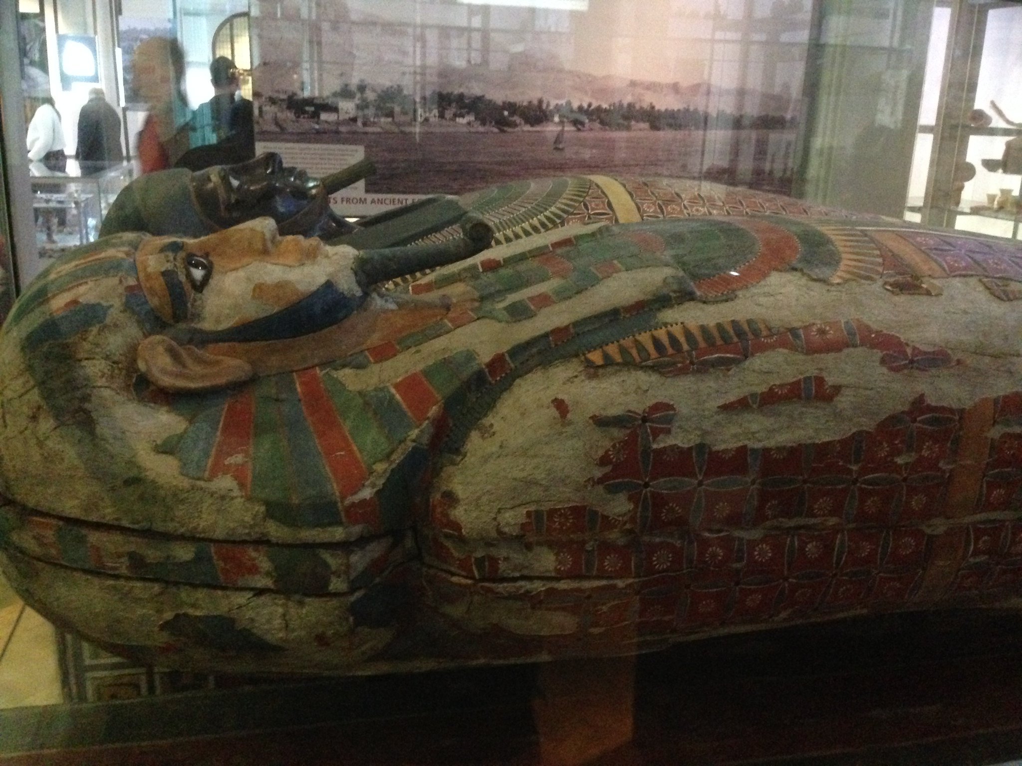 Manchester Museum