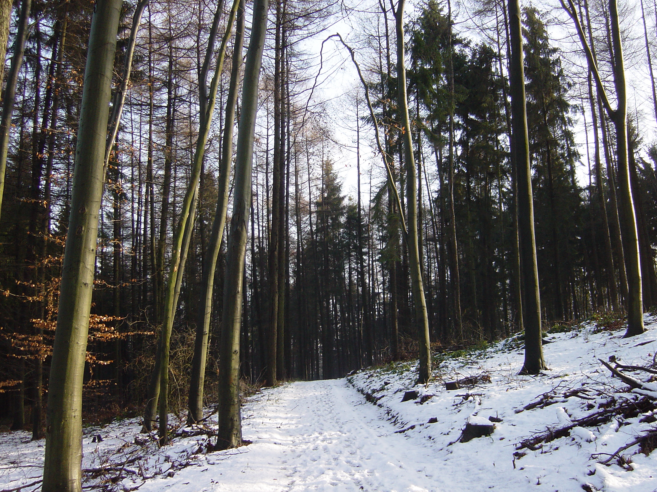 Mercatini di Natale nella Foresta Nera 2019