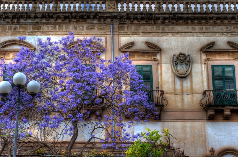 palazzo butera