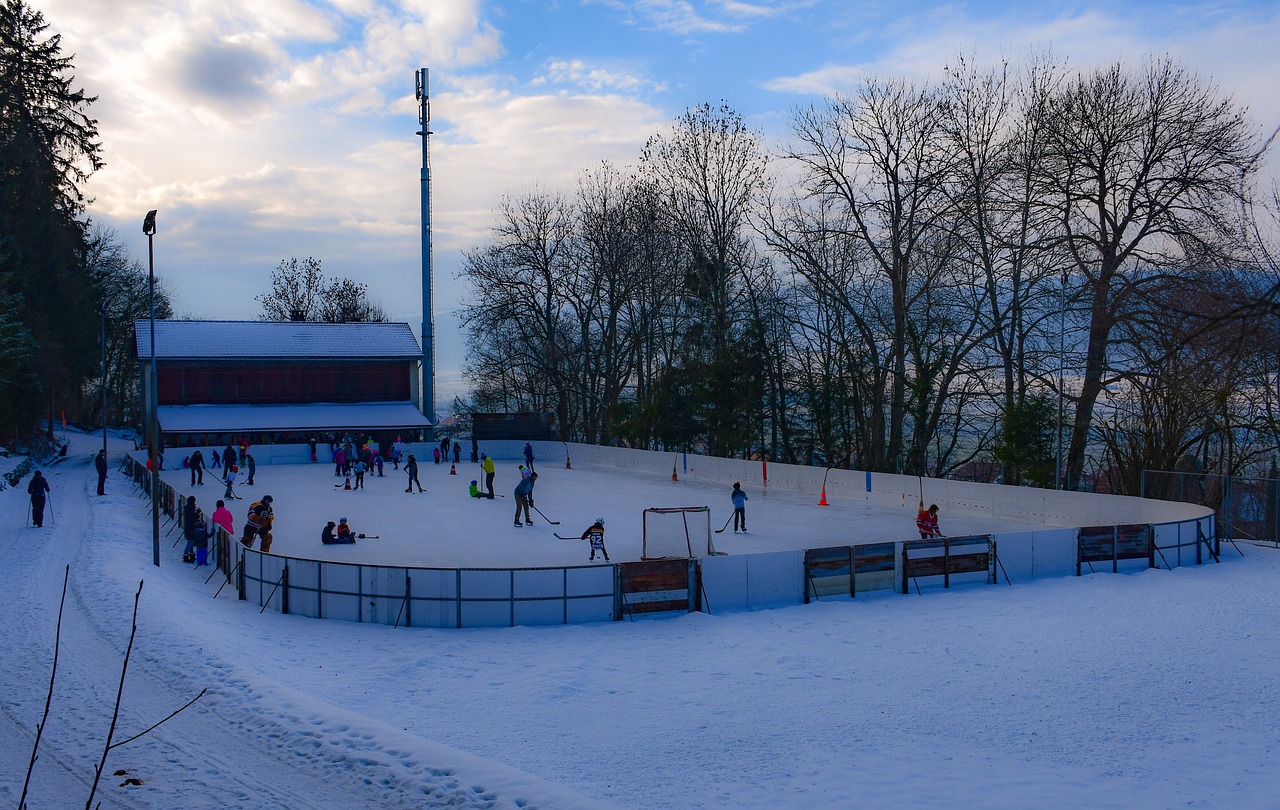 pista di pattinaggio
