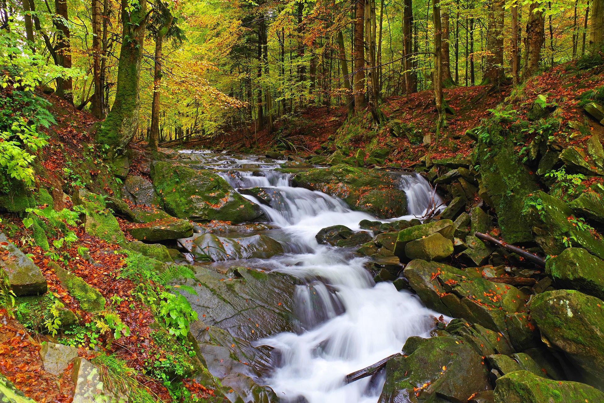 Bieszczady, Polonia