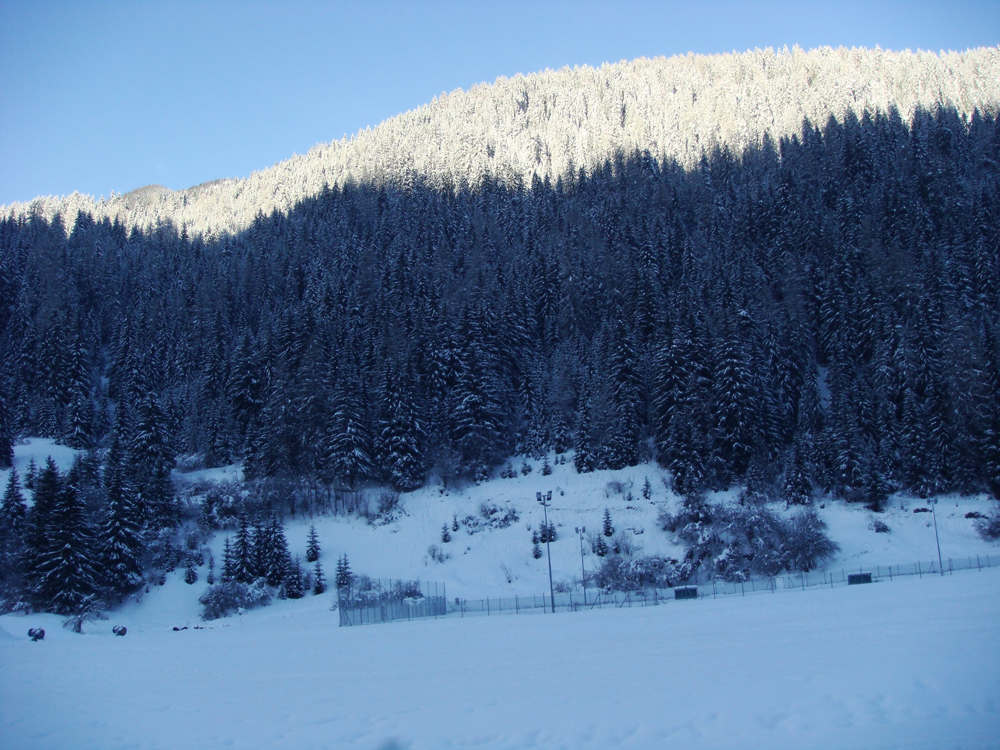 Vigo di Fassa
