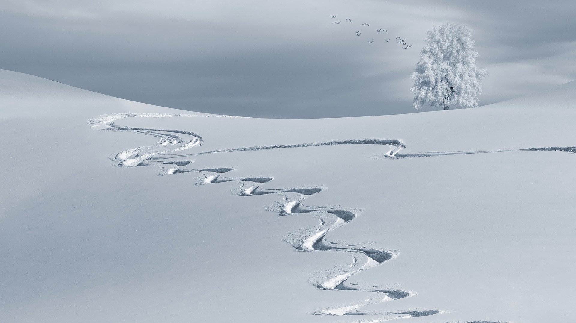 piste da sci