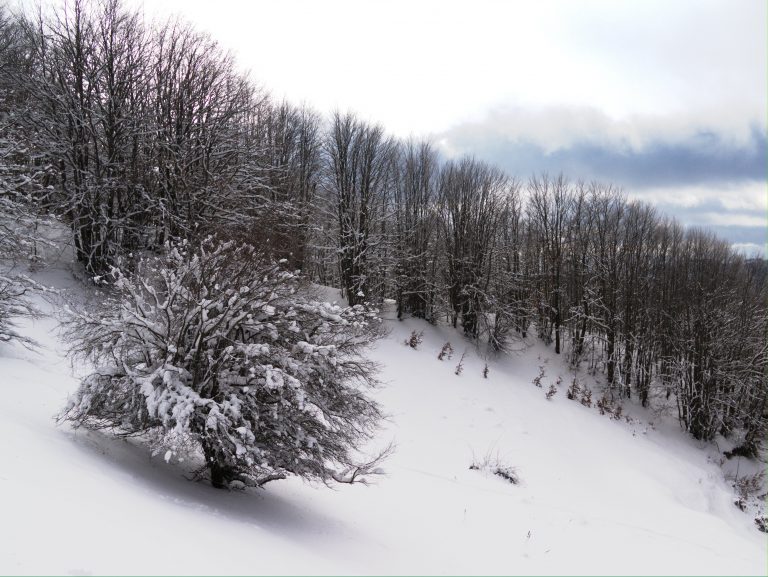 Piste da sci Calabria