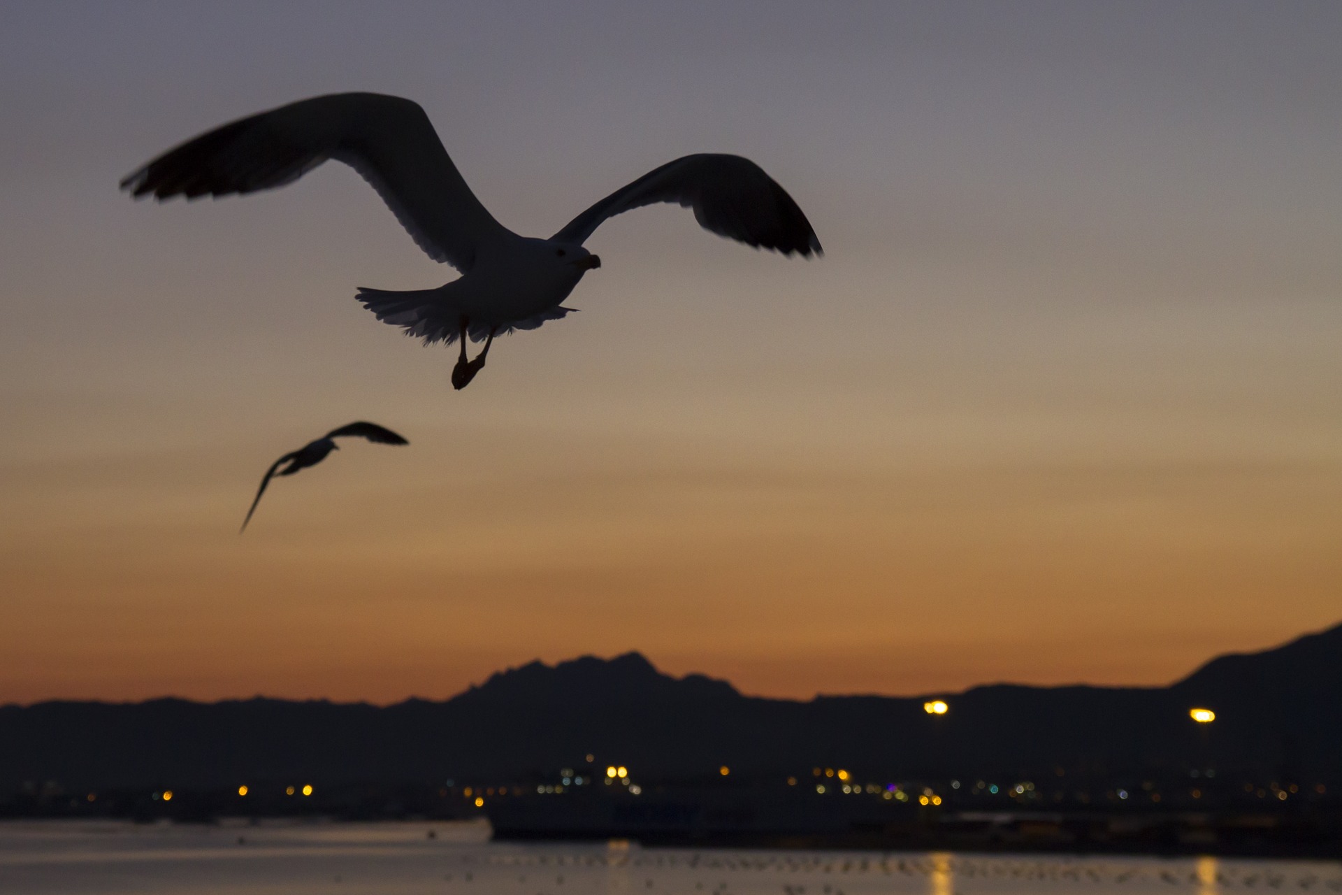 olbia