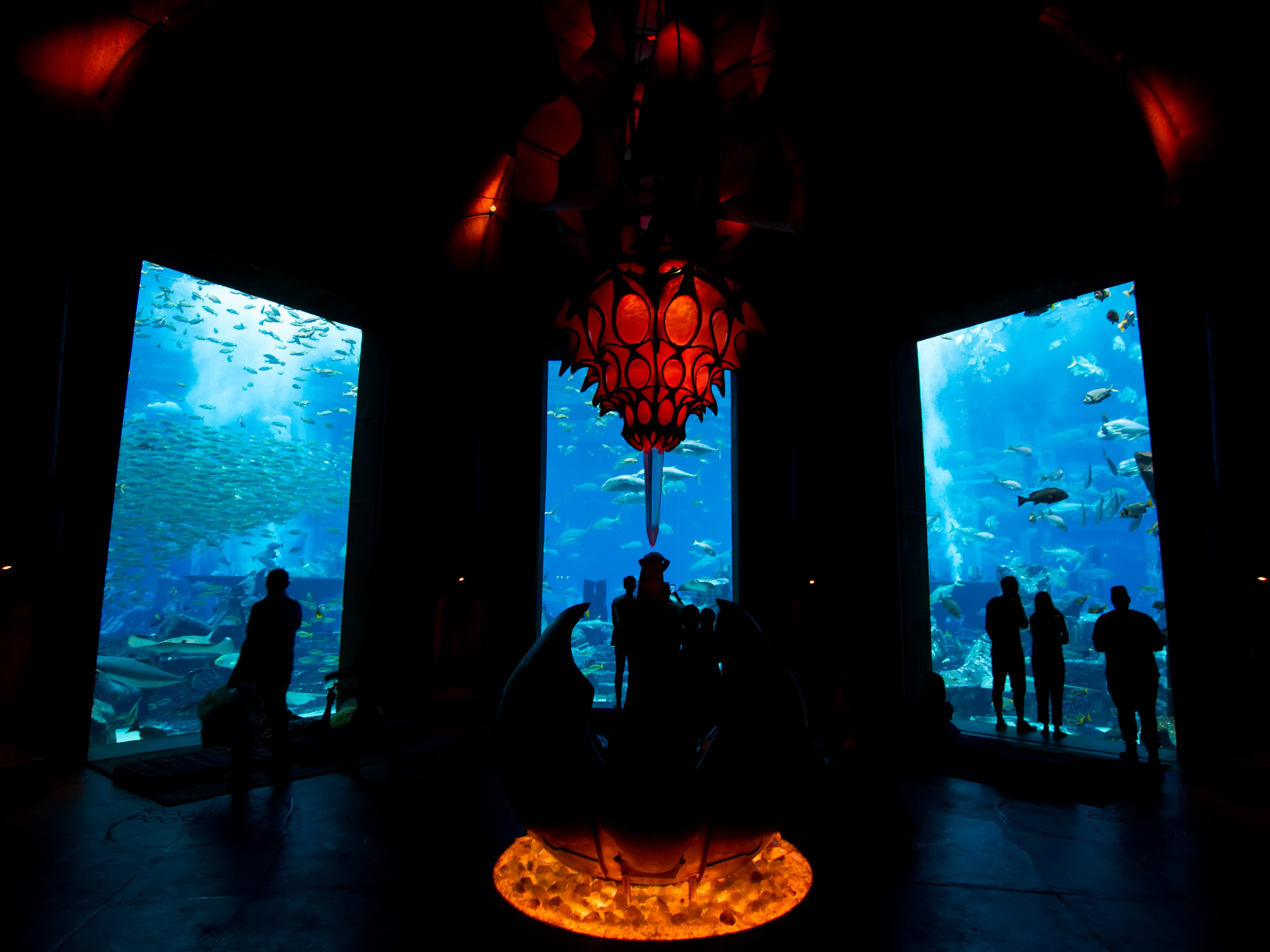 Lost Chambers Aquarium