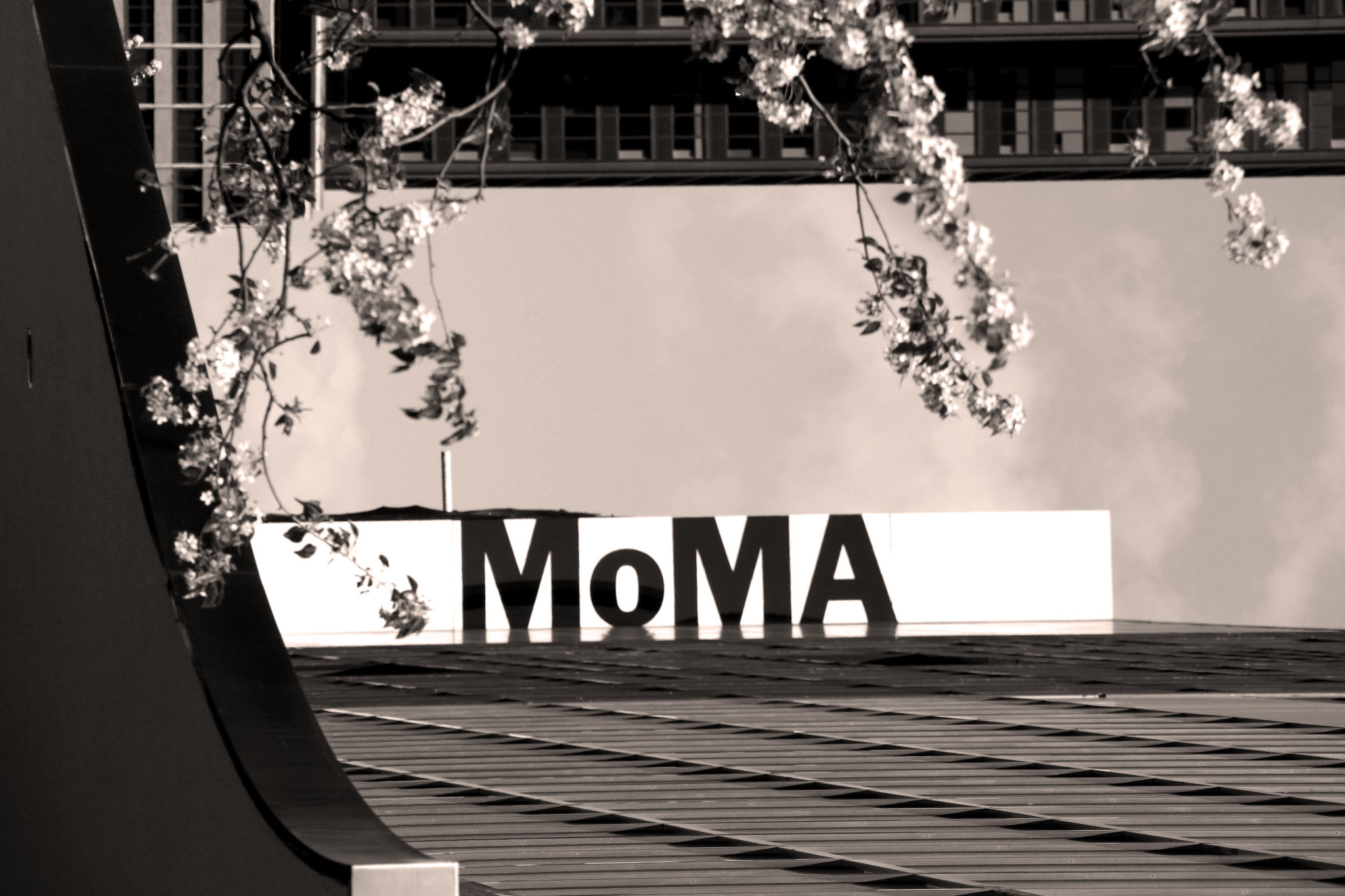 moma