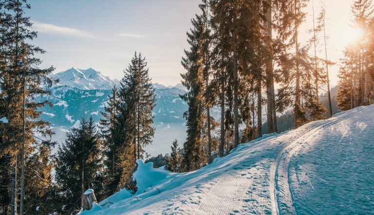 Piste da sci di Sappada