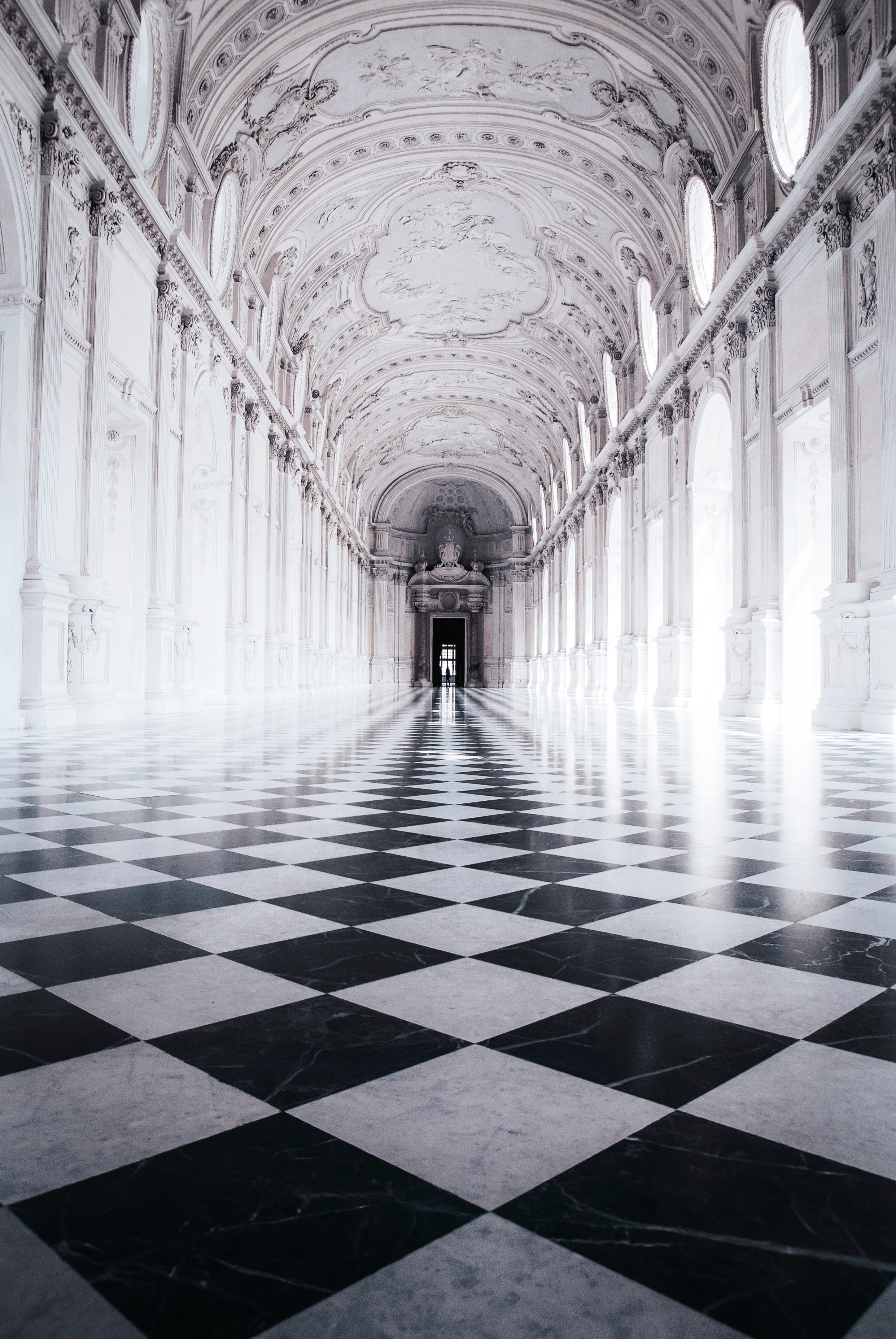 venaria torino
