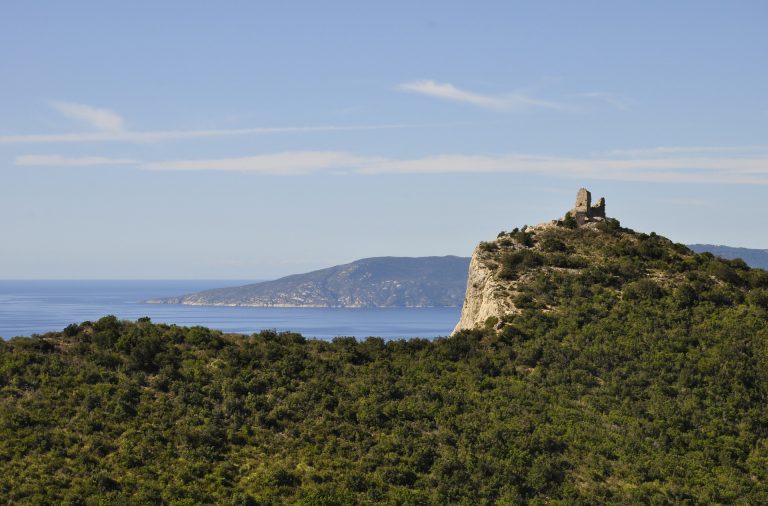 Come arrivare all'isola di Gorgona