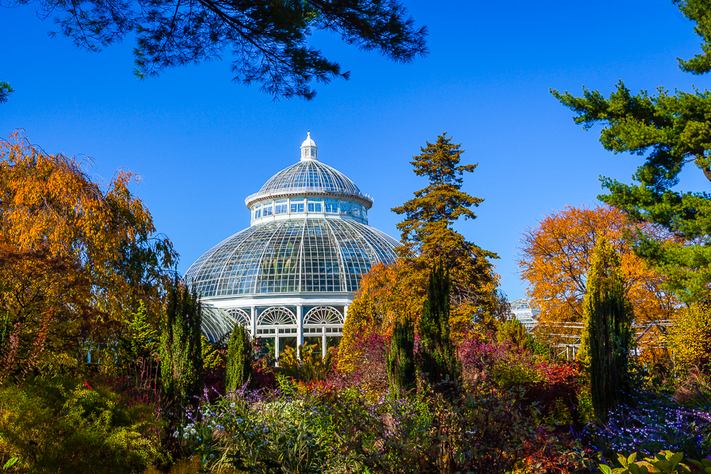 Giardino Botanico New York: