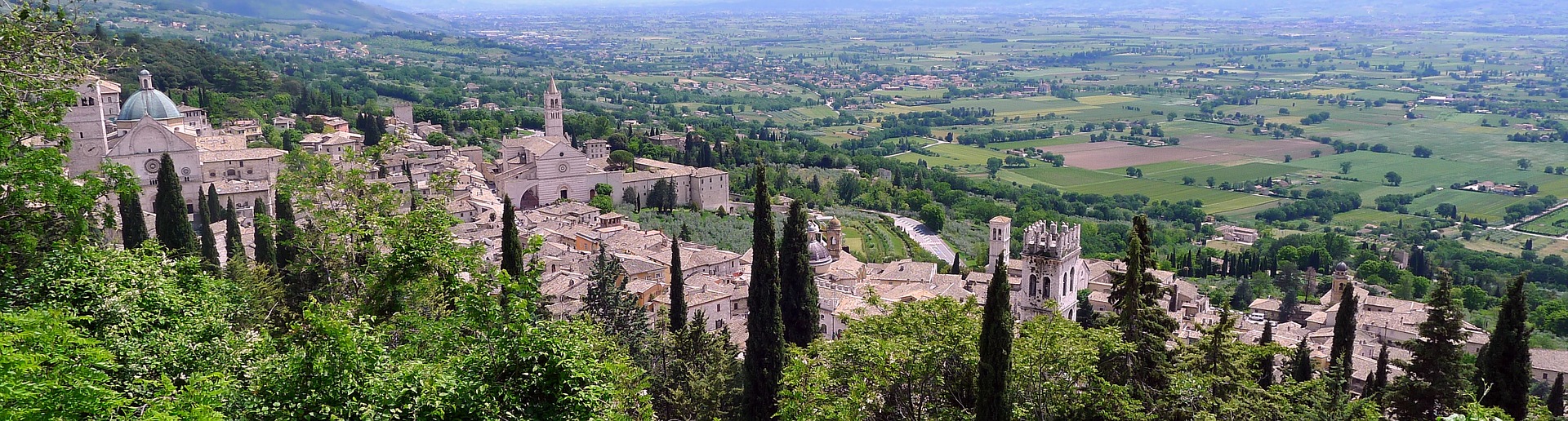 assisi
