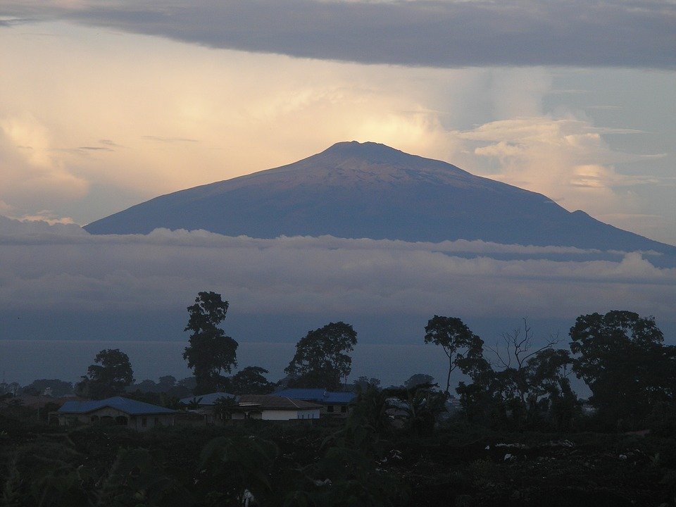 camerun