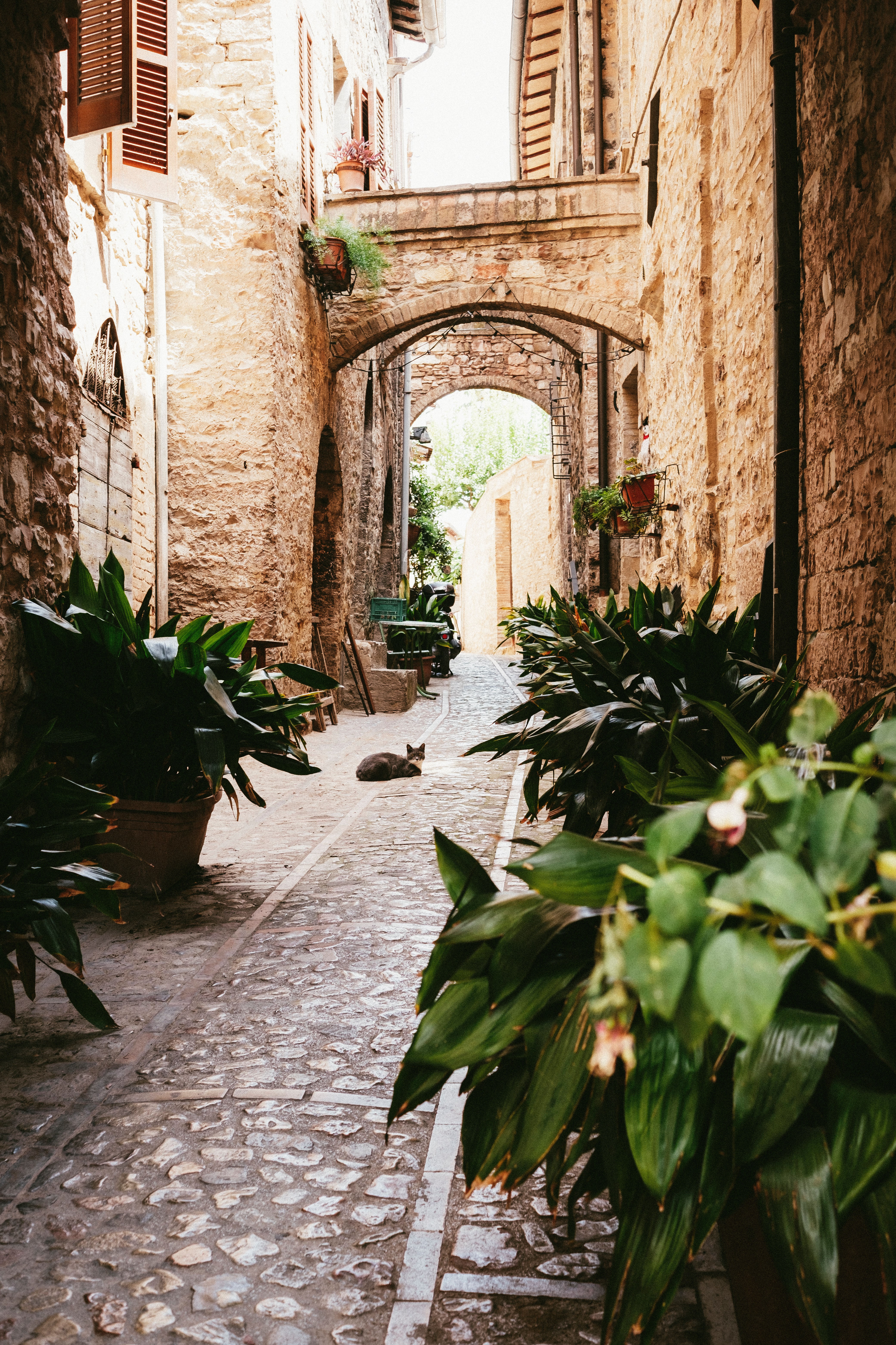 Spello 
