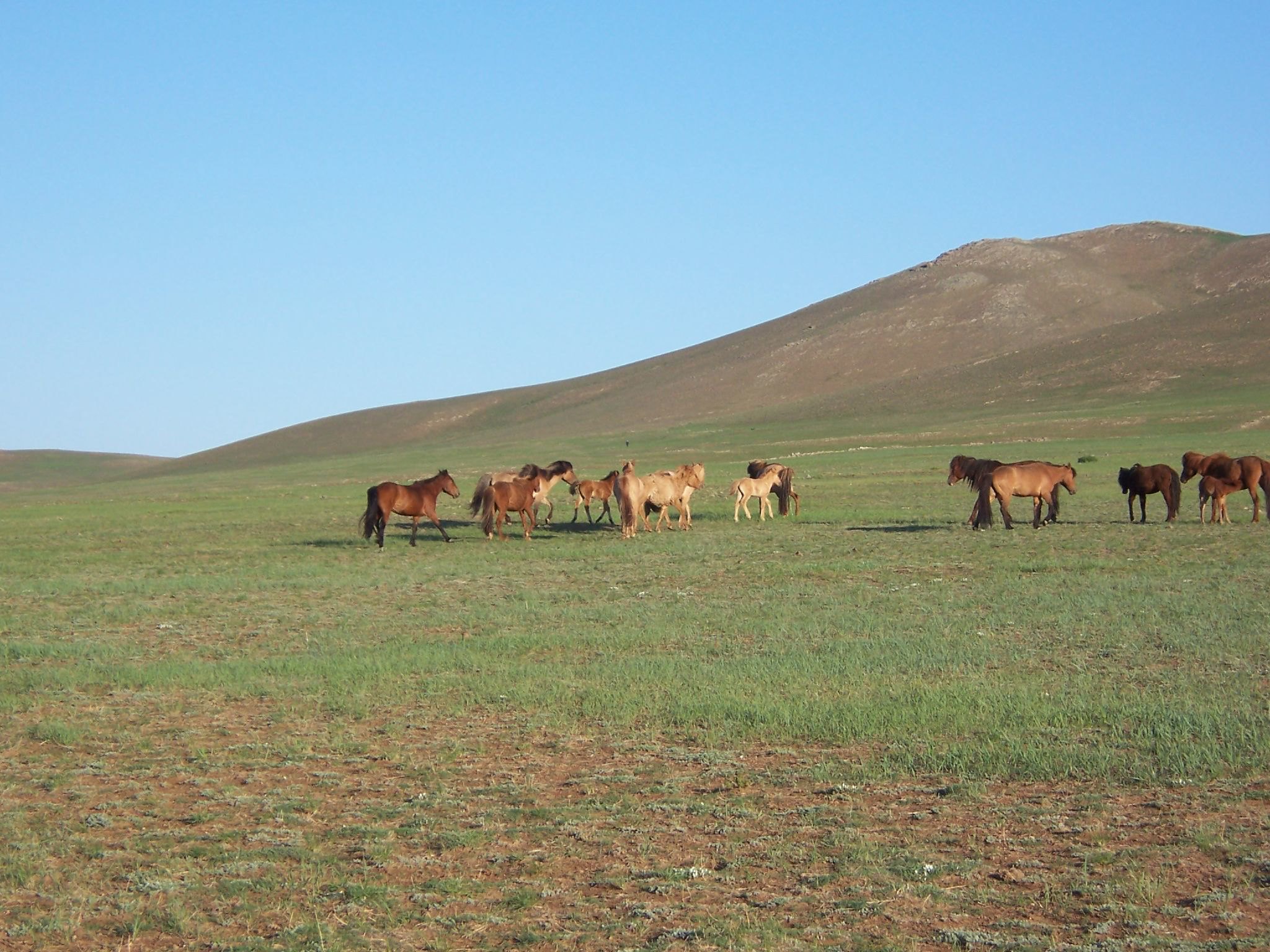 Dundgobi