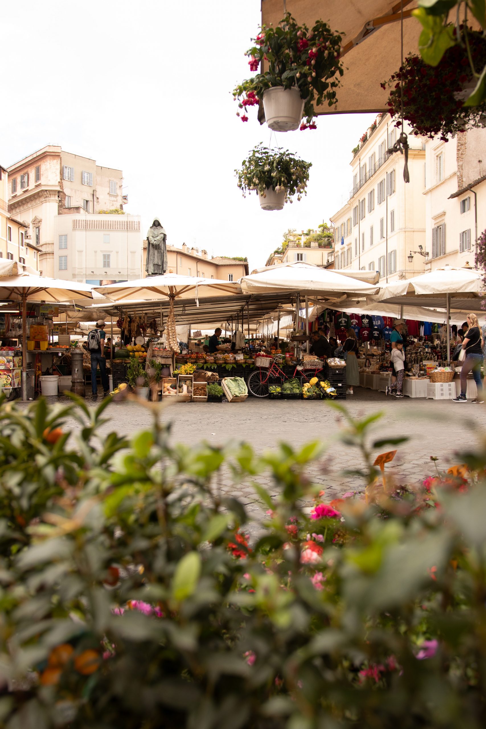 roma