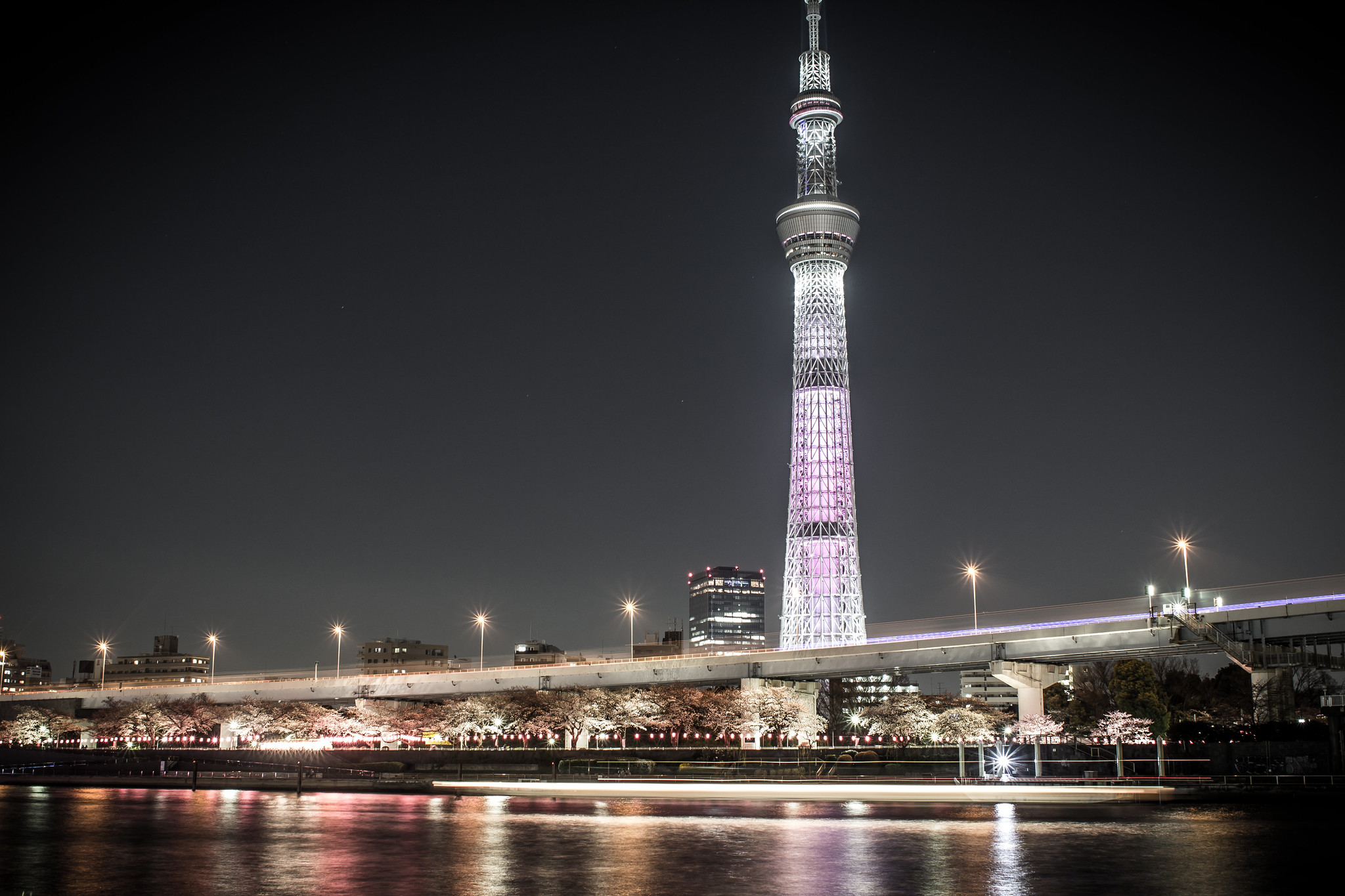 Kuritsu Sumida Park