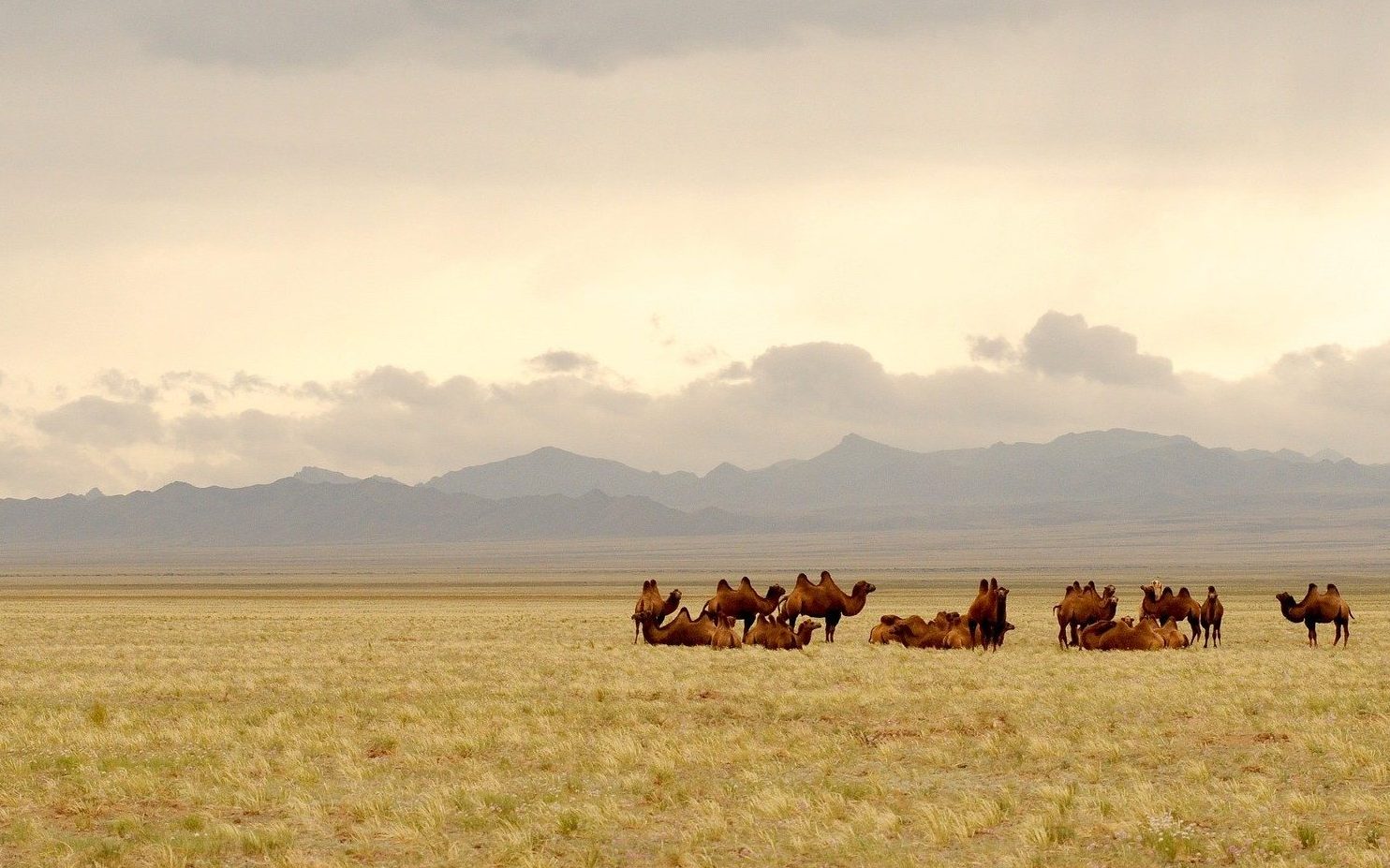 Mongolia cosa vedere in 10 giorni