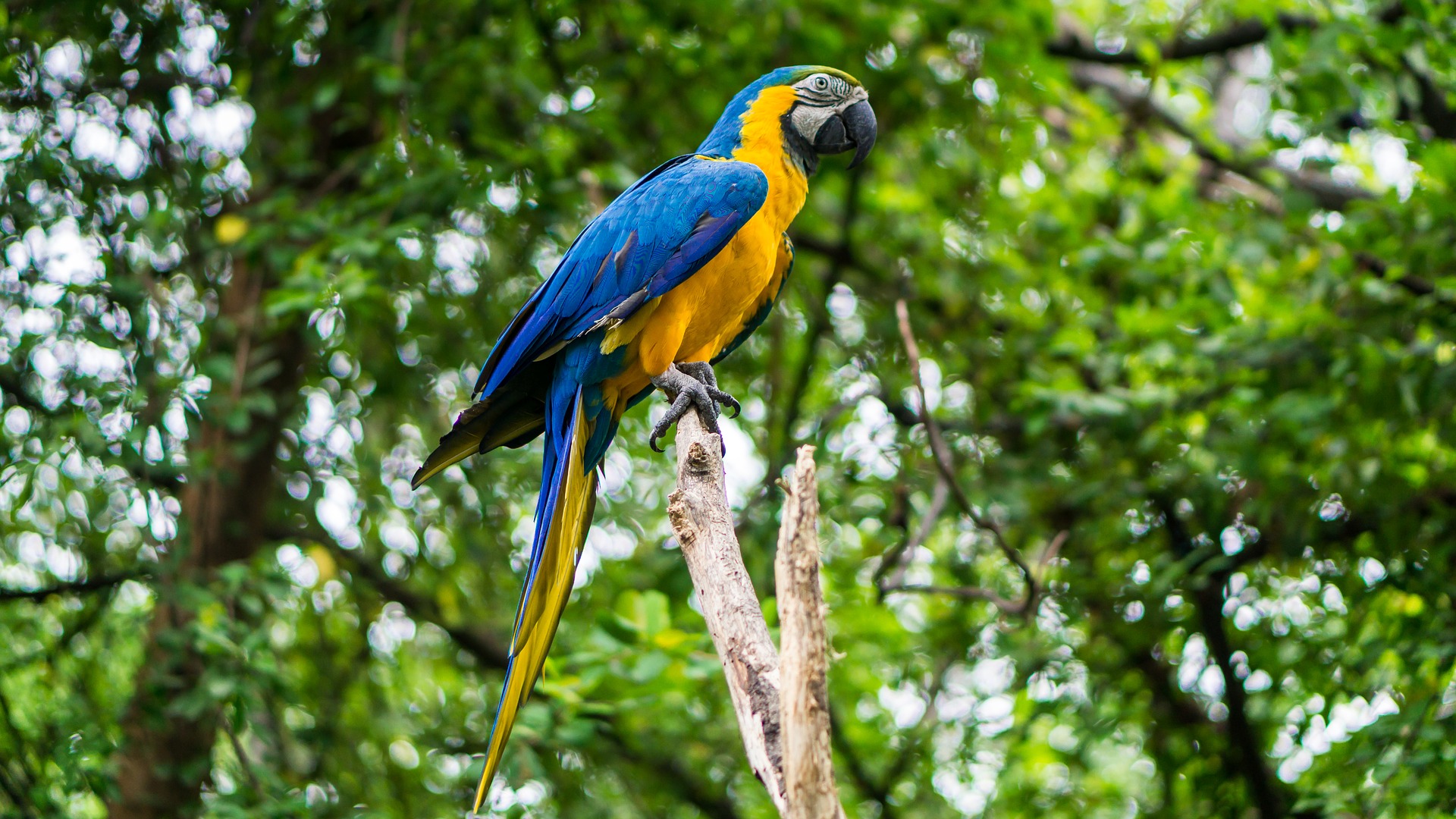 Ecuador