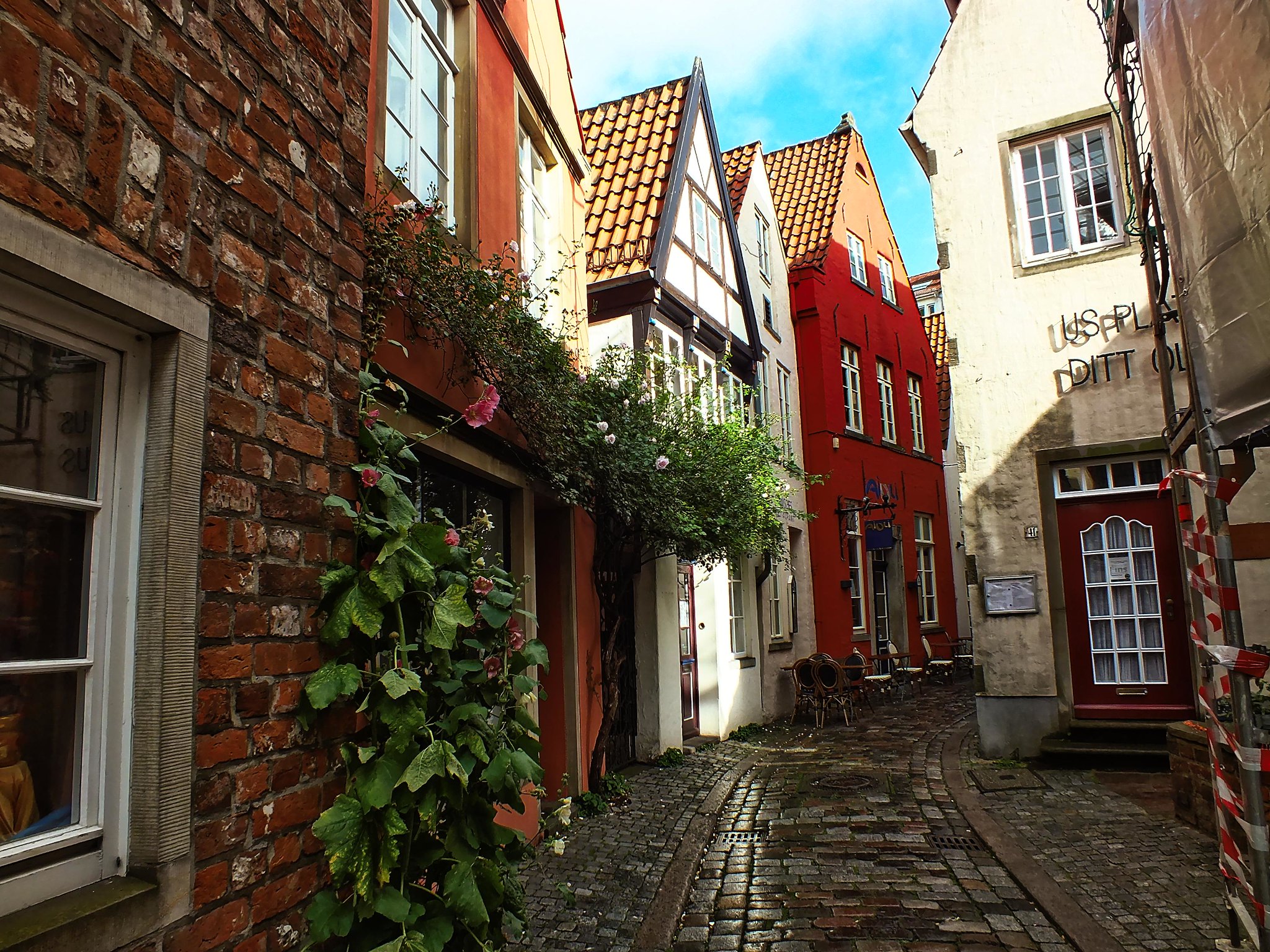 Schnoor