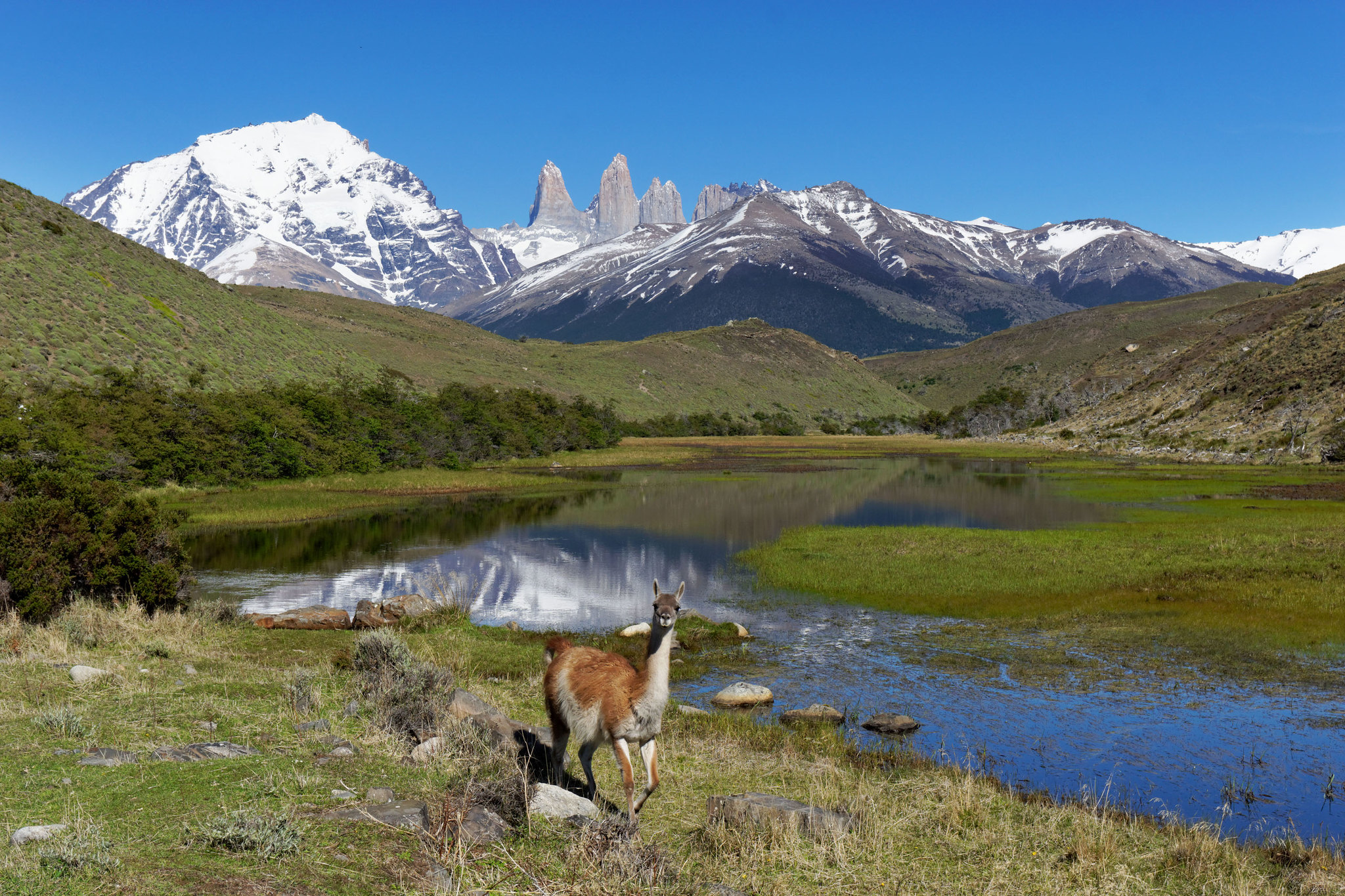 Torres del Paine