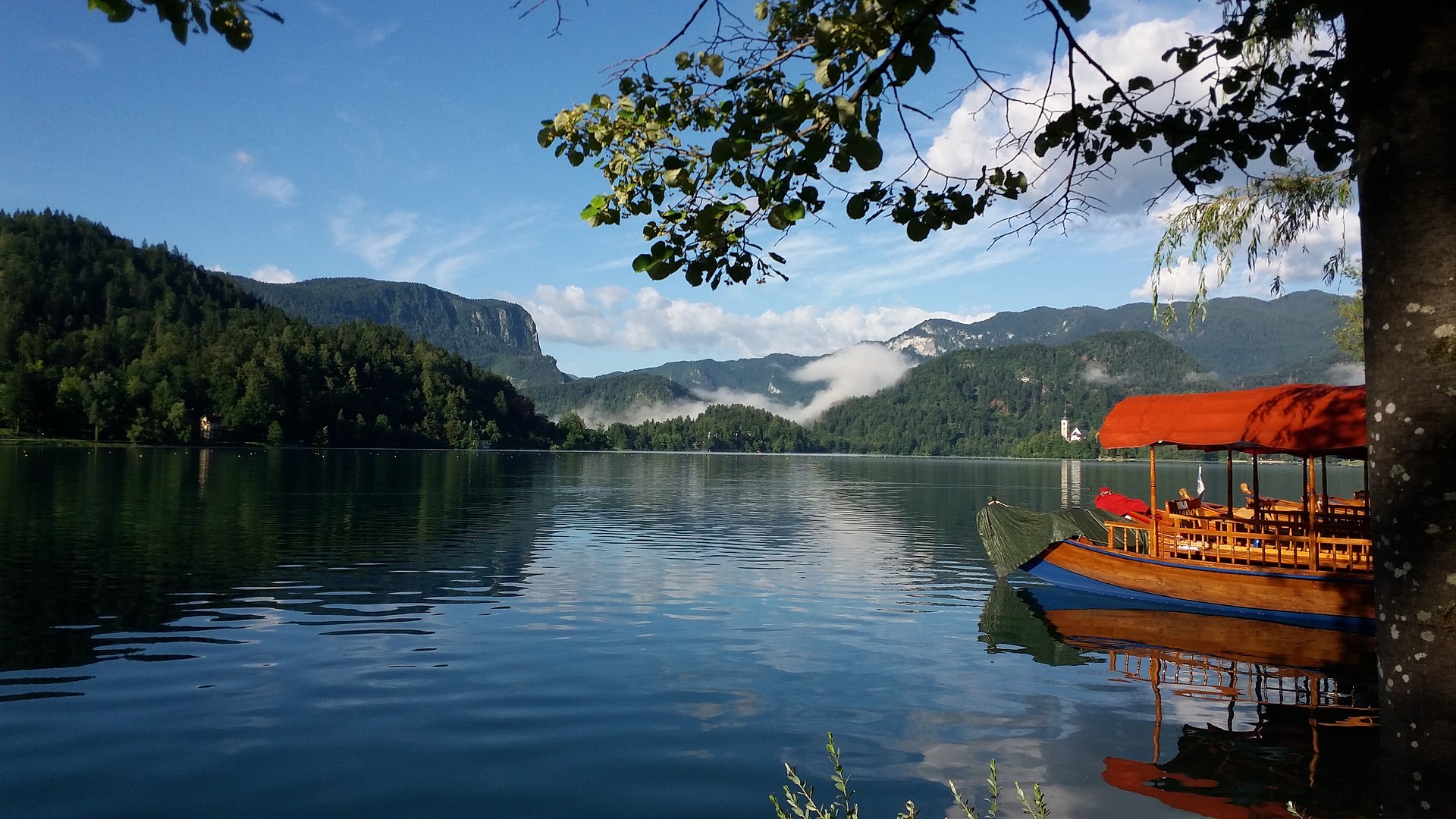 bled
