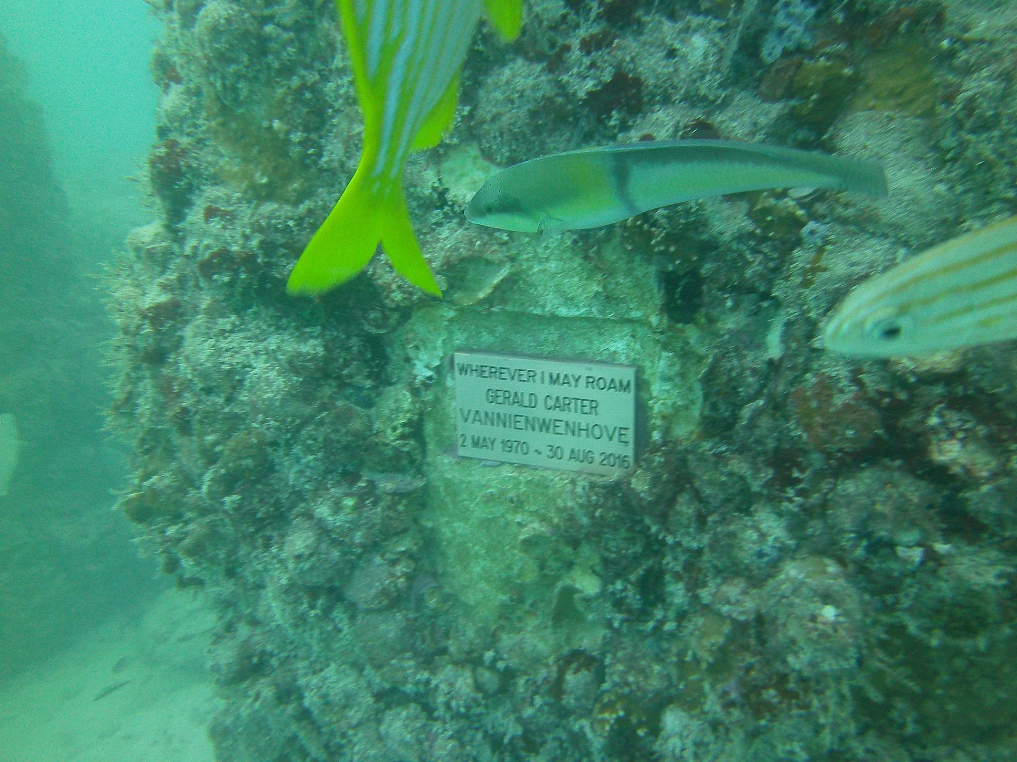 Neptune Memorial Reef