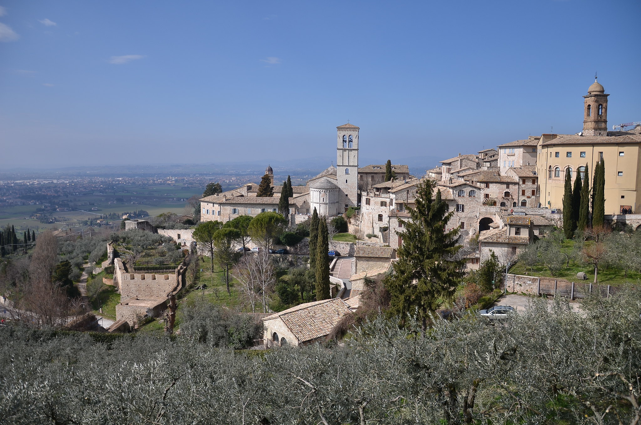 assisi