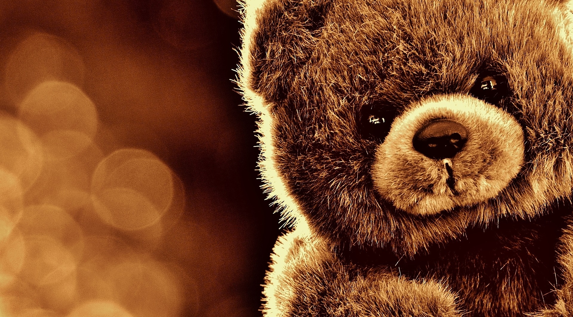 peluche