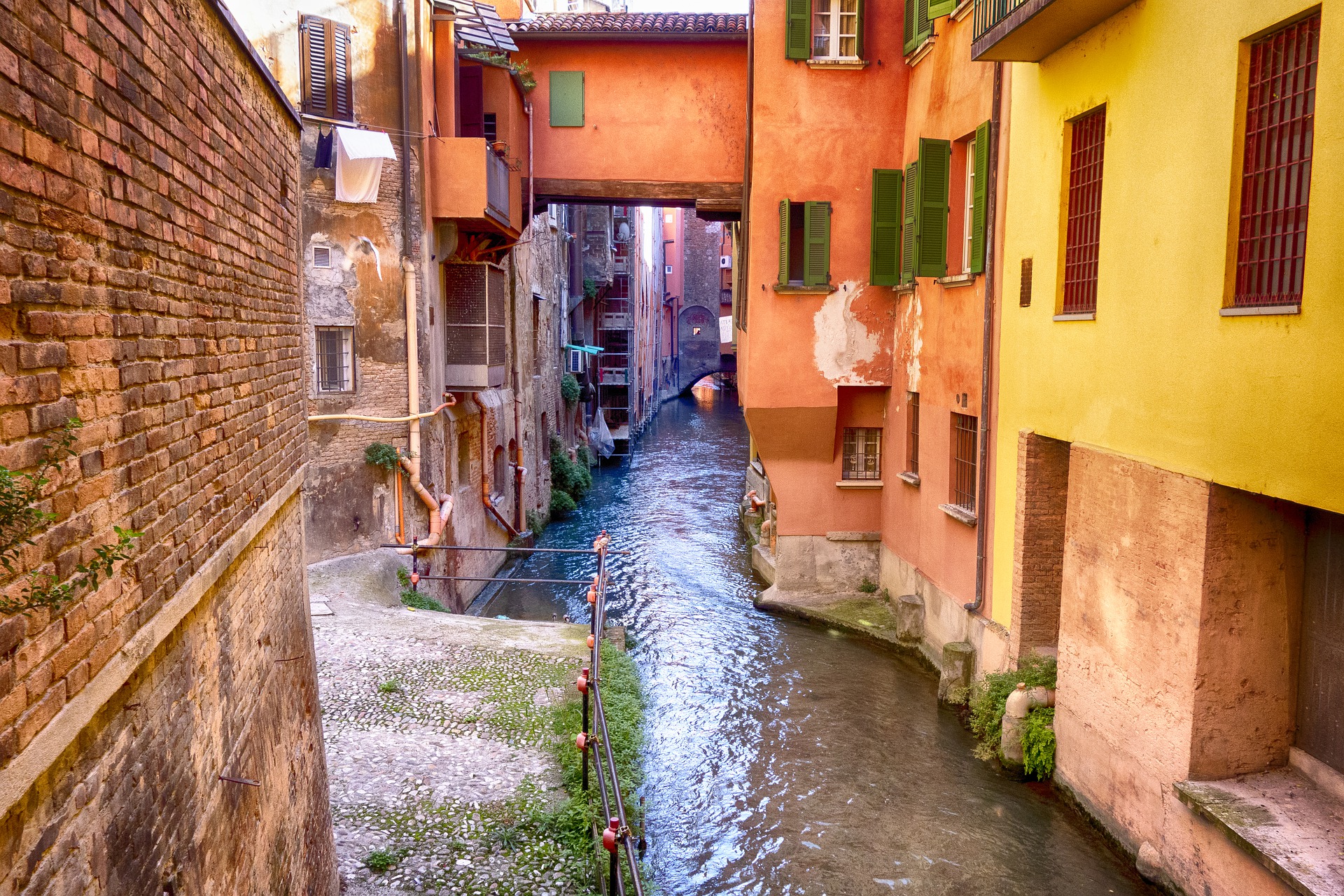 bologna