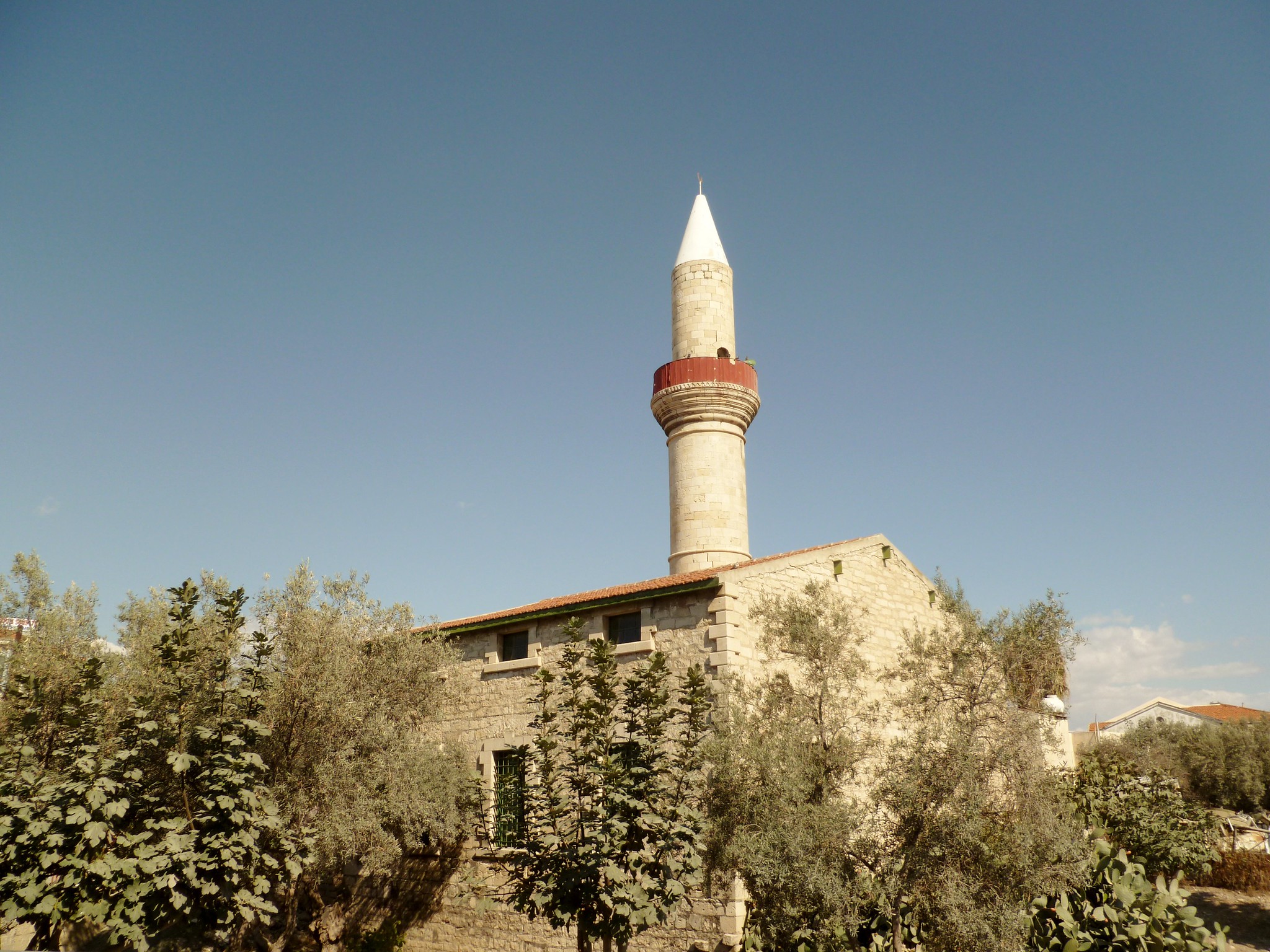 Grande Moschea