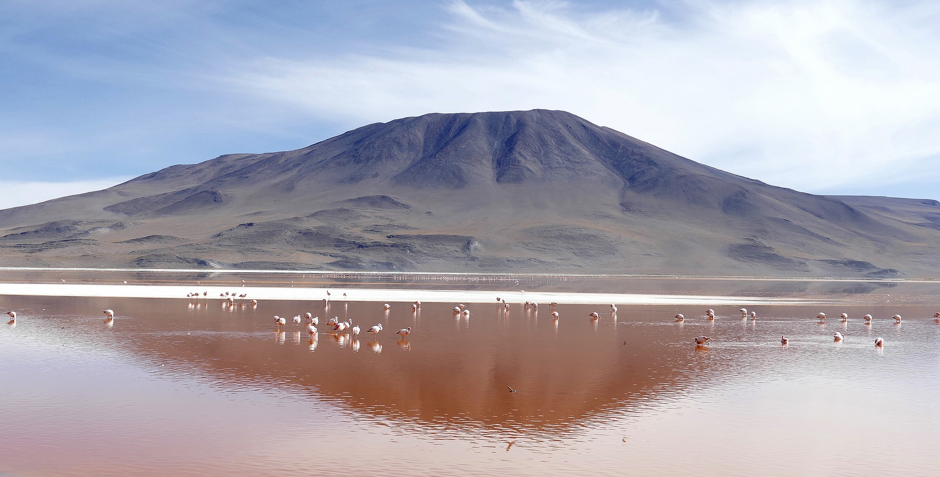 Laguna colorada in Bolivia colori e curiosità