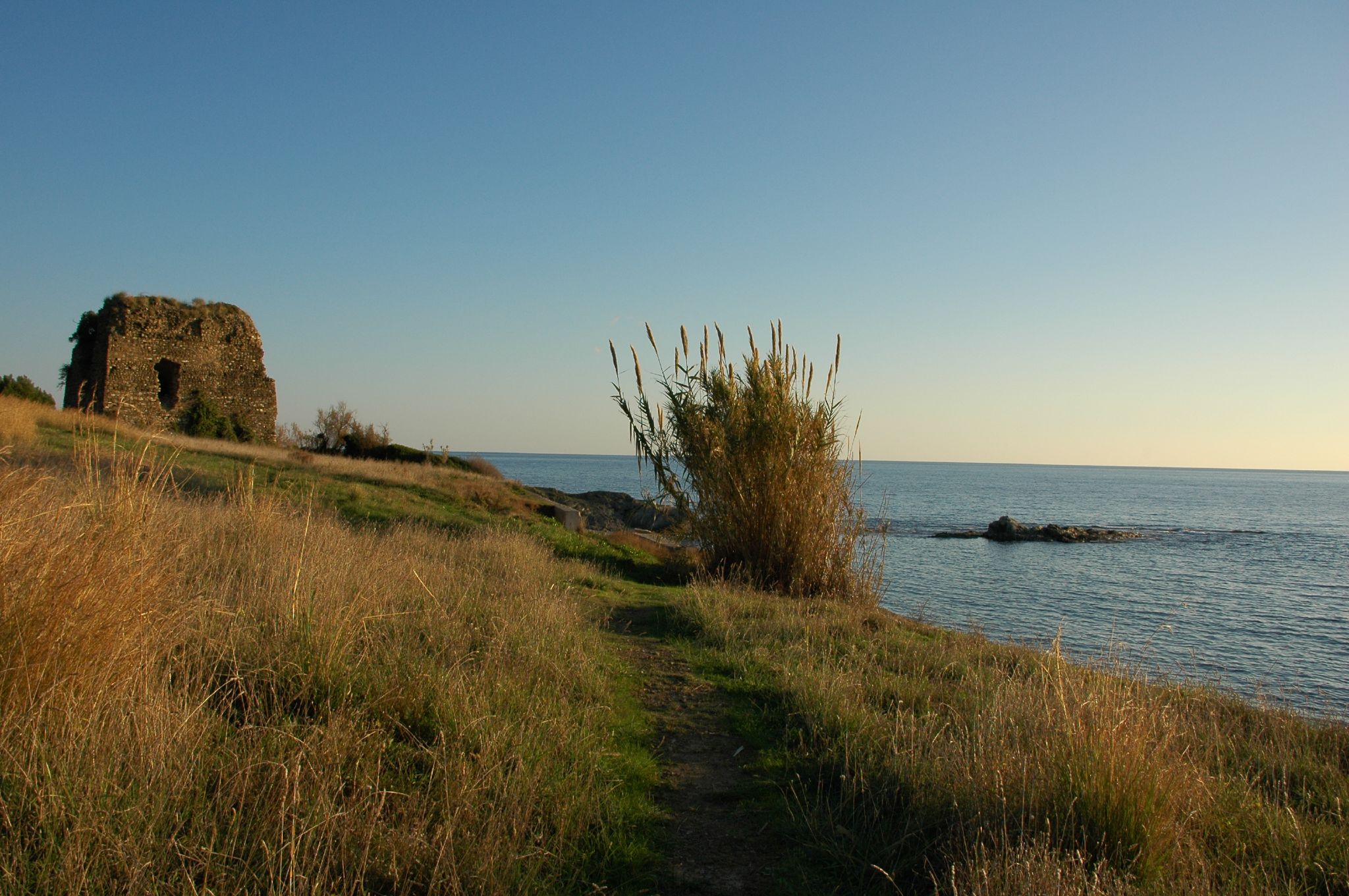 torre caleo