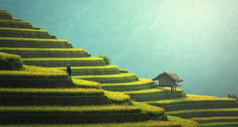 Viaggio in solitaria in Thailandia