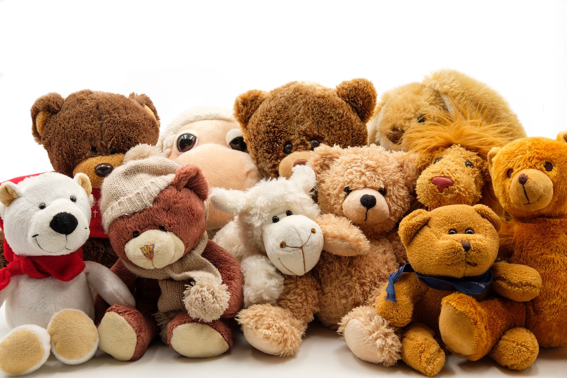 yawarakan's cafe il bar dei peluche