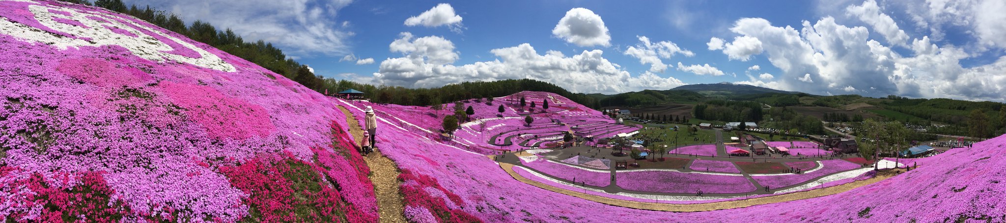 collina rosa