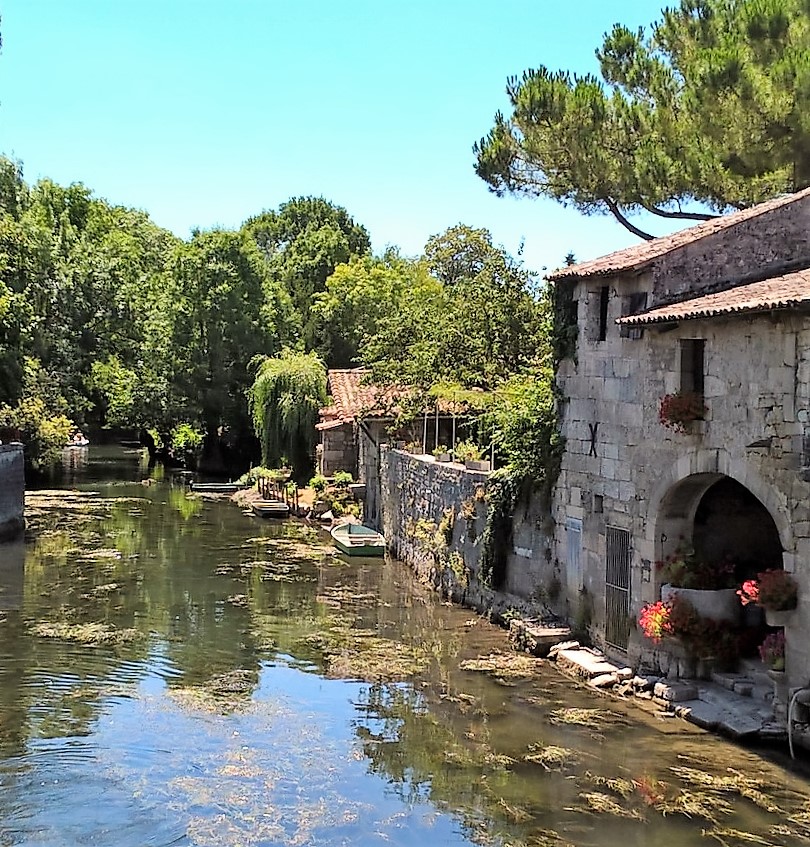 pons