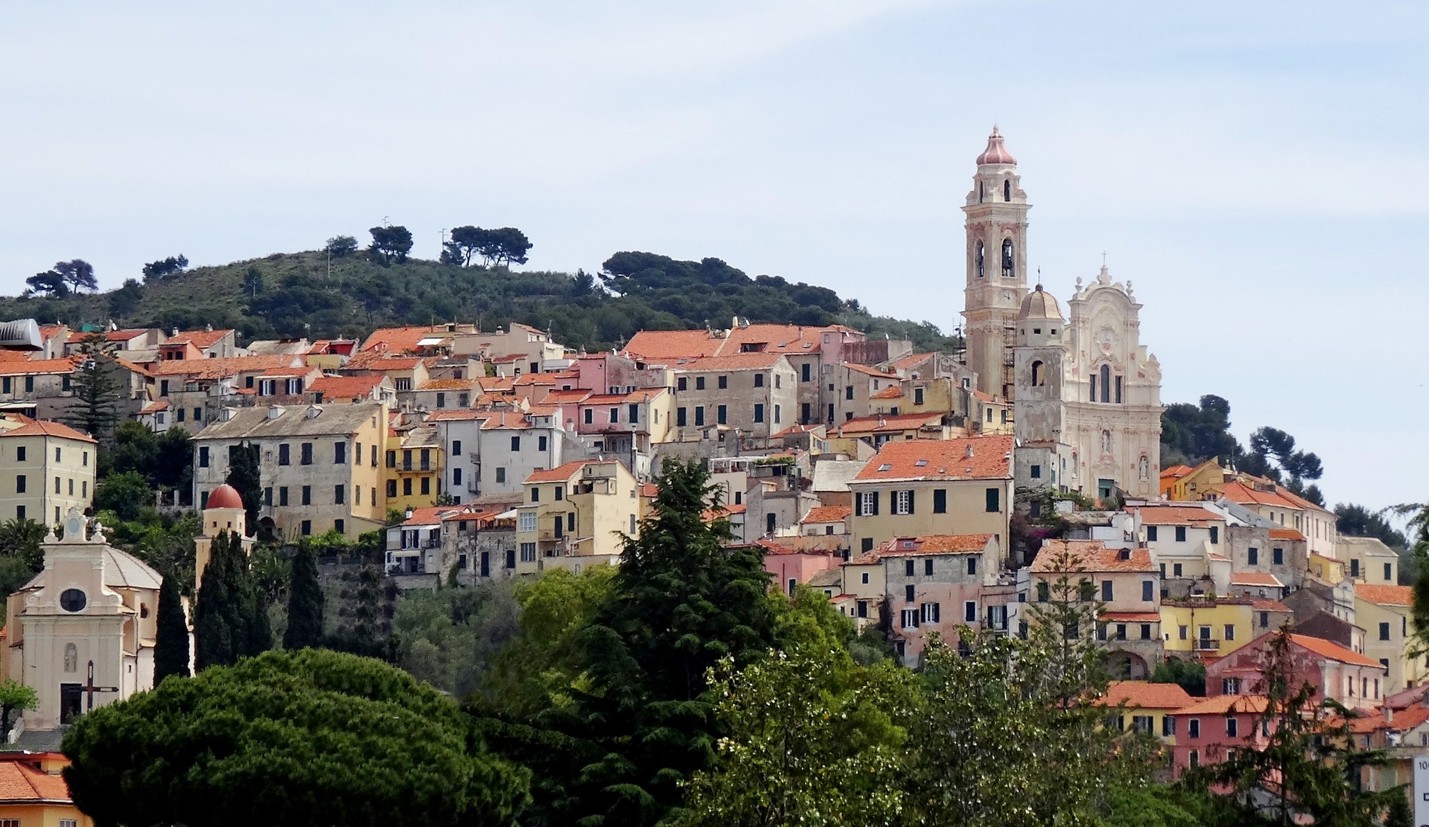 cervo