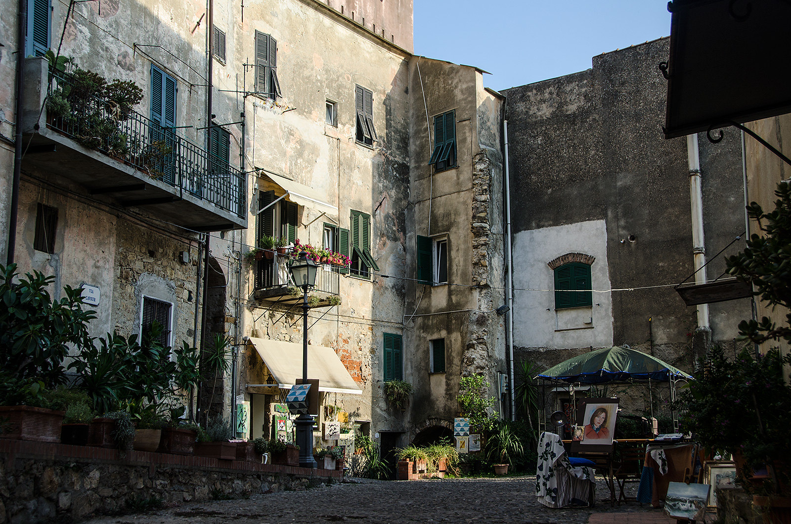 Cervo