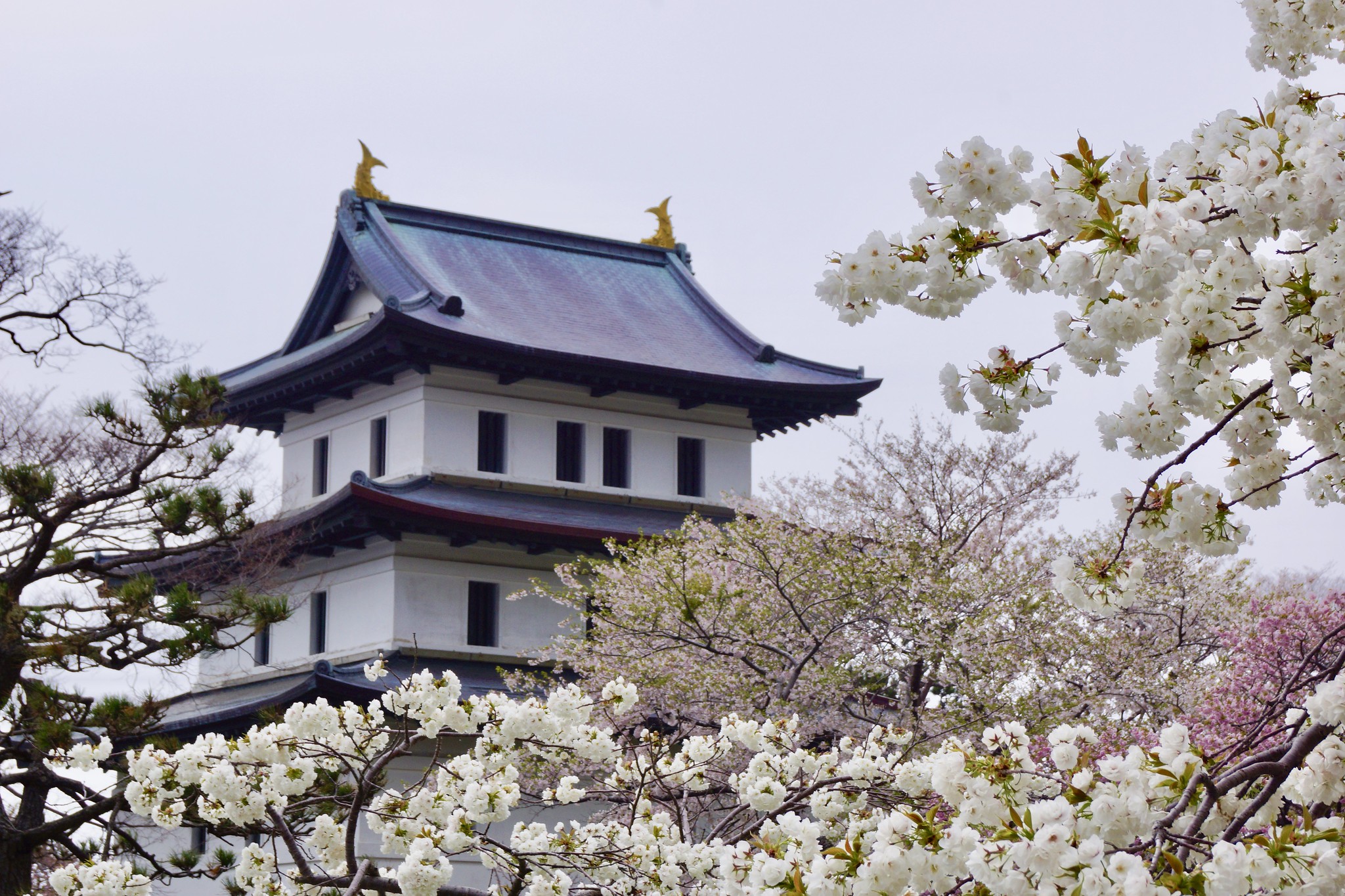 Castello di Matsumae