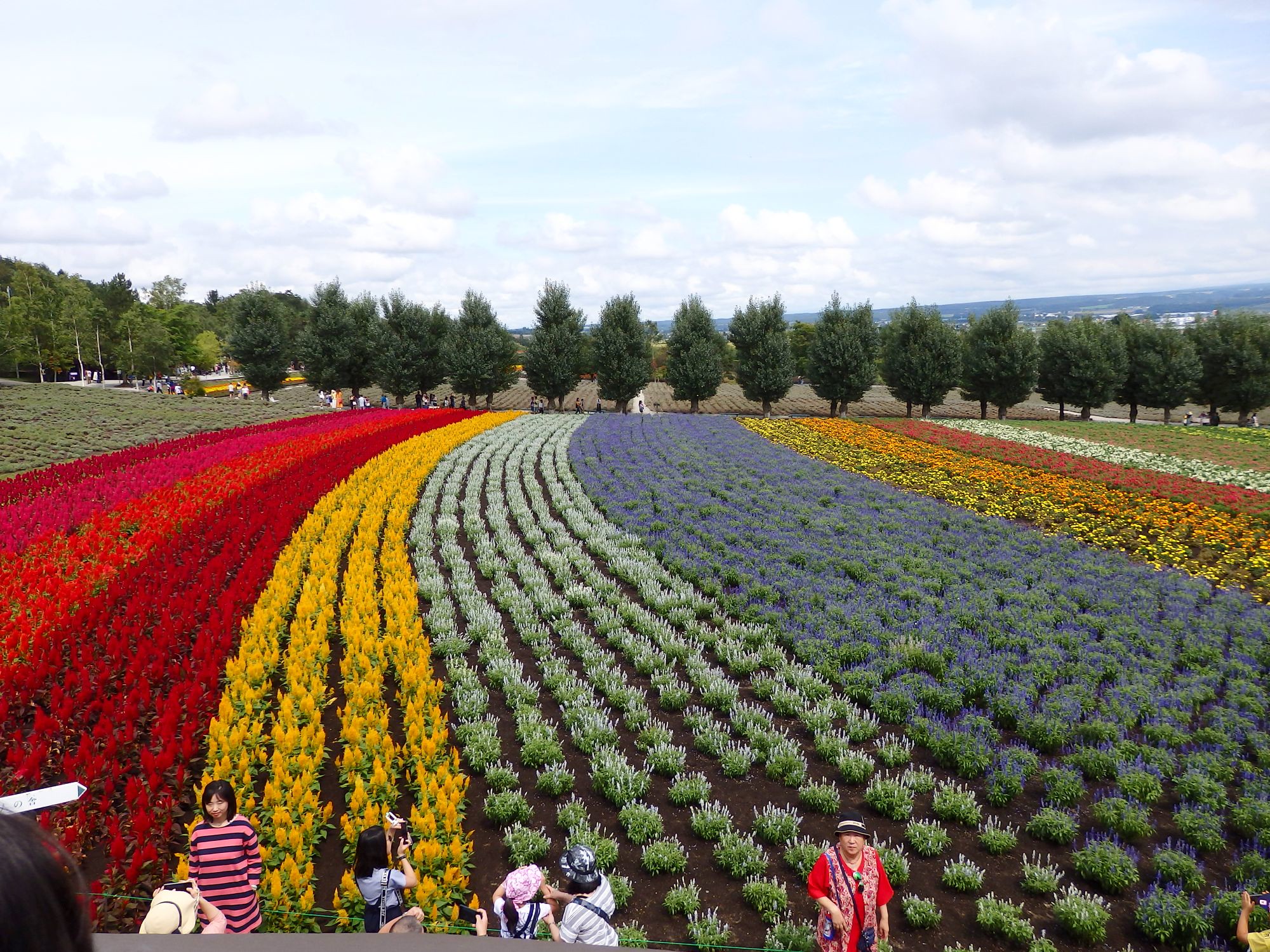 Tomita Farm