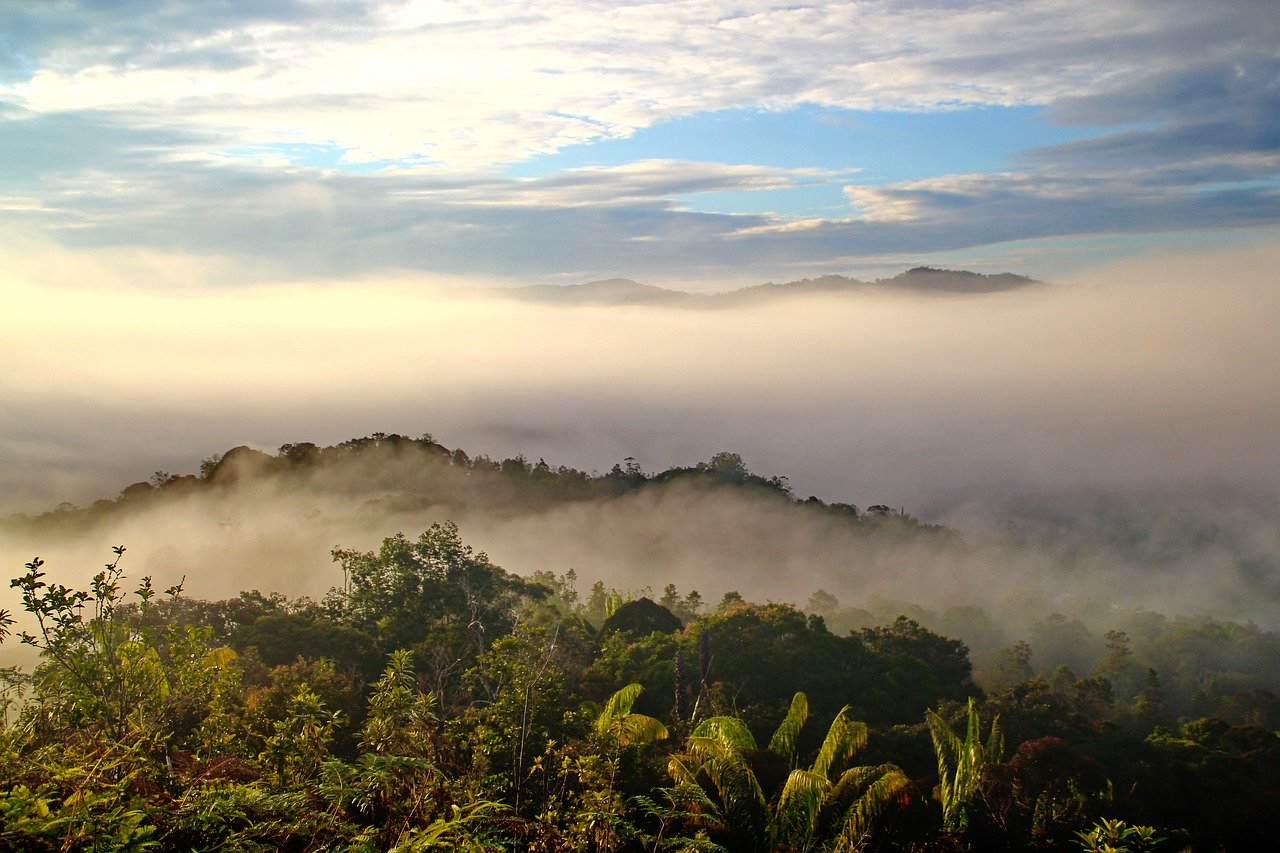 Sarawak