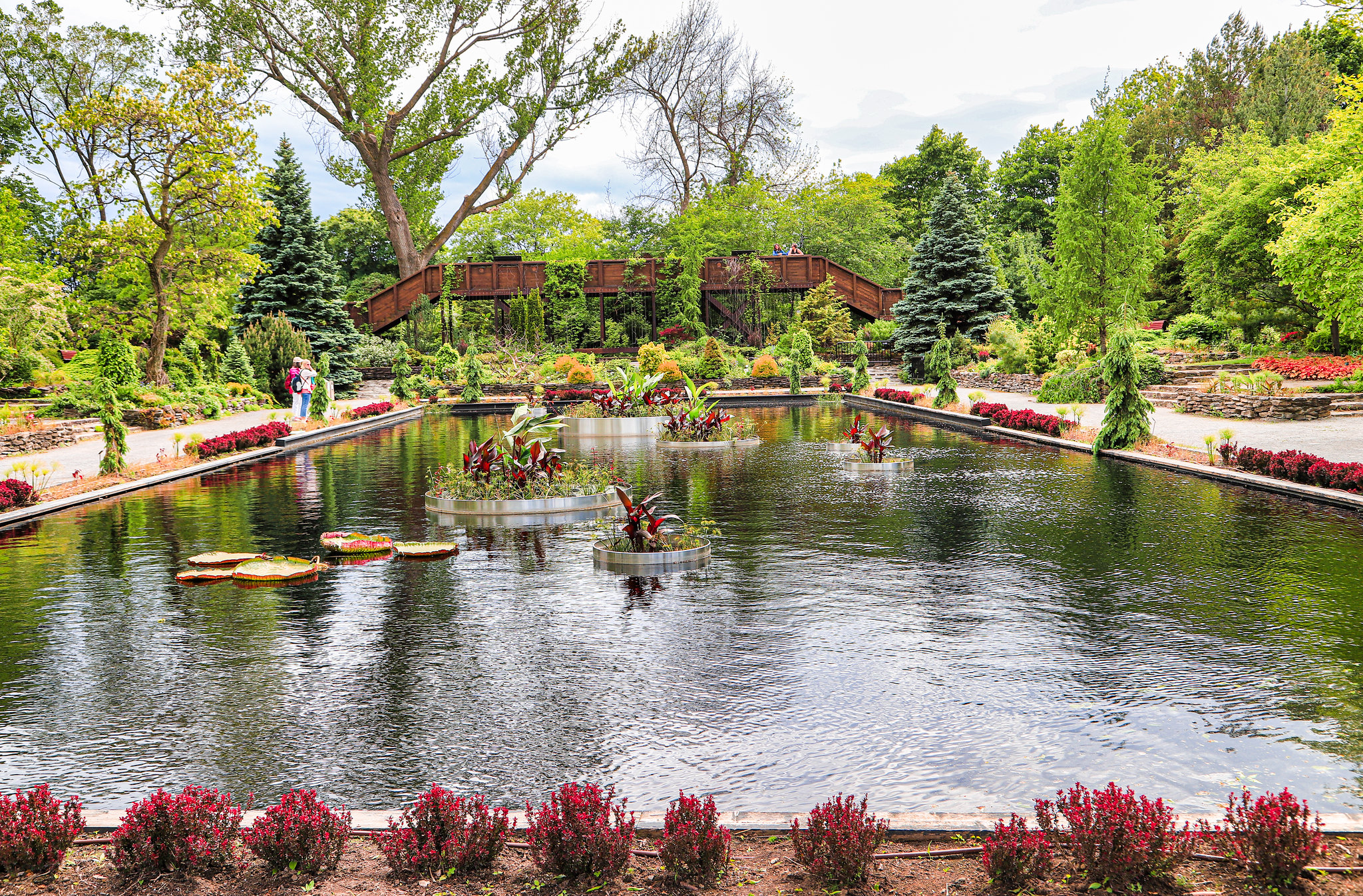 botanical garden