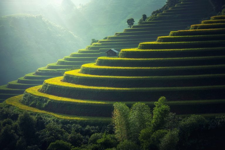 cambogia cosa vedere in 2 settimane