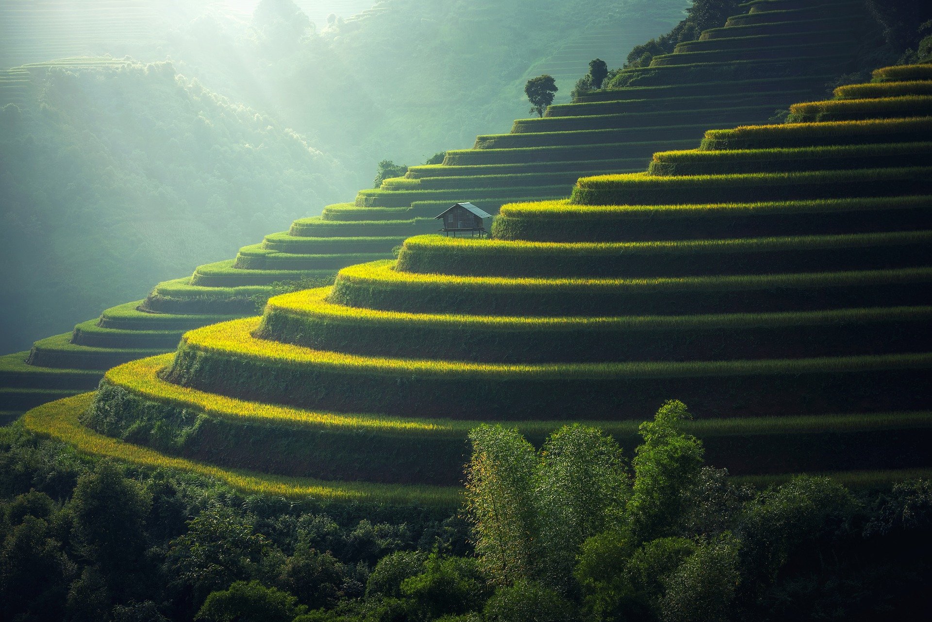 cambogia cosa vedere in 2 settimane