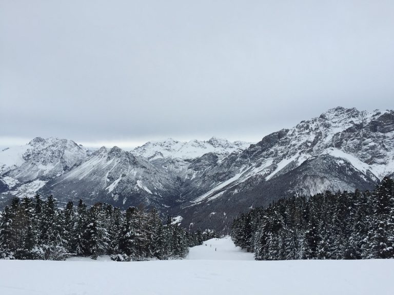 escursioni in motoslitta livigno