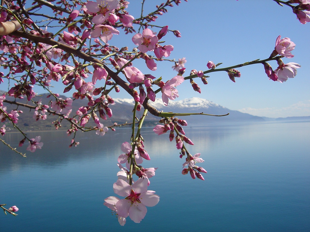 lago francia