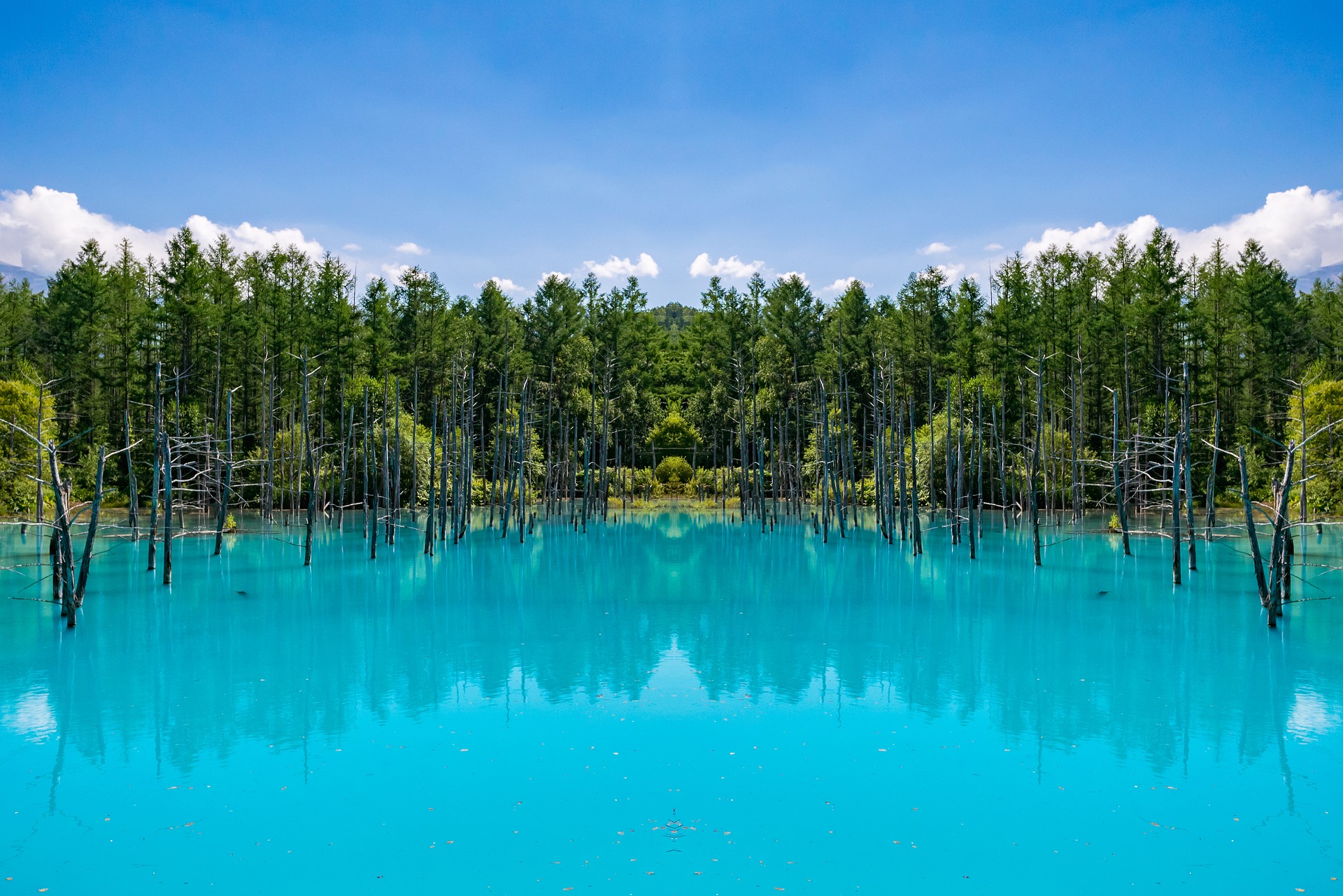 Stagno Blu